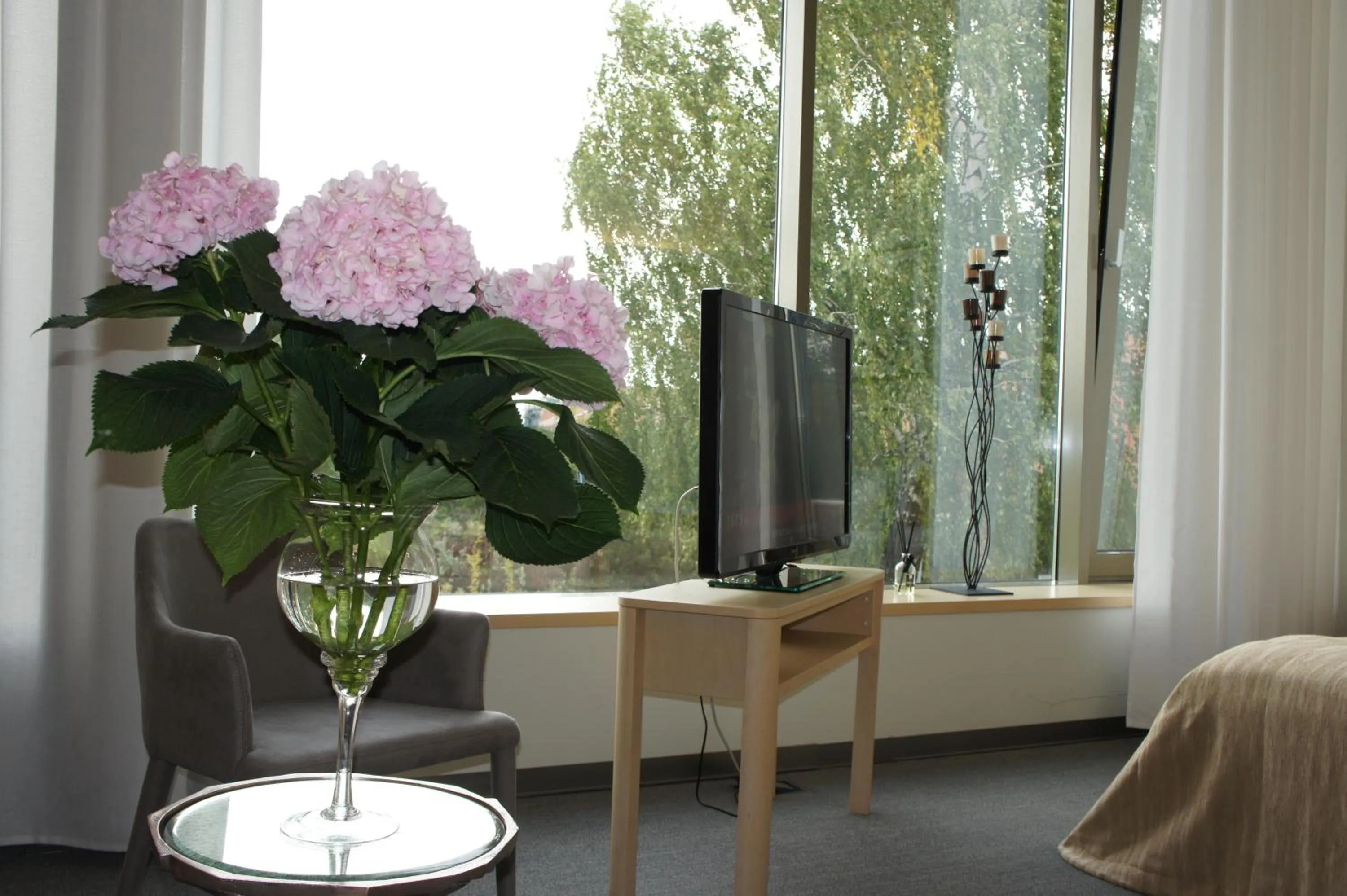 Photo of the whole room in Zaliasis slenis - Self check-in hotel - Free parking