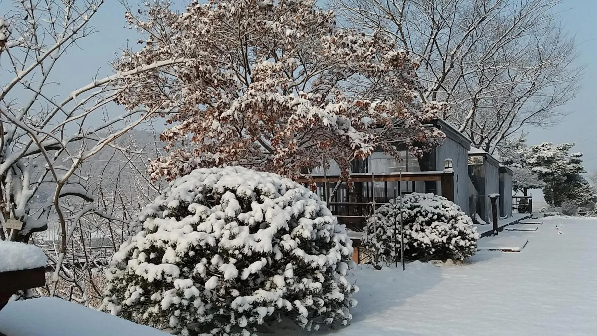 Winter in Forest of Color Pension