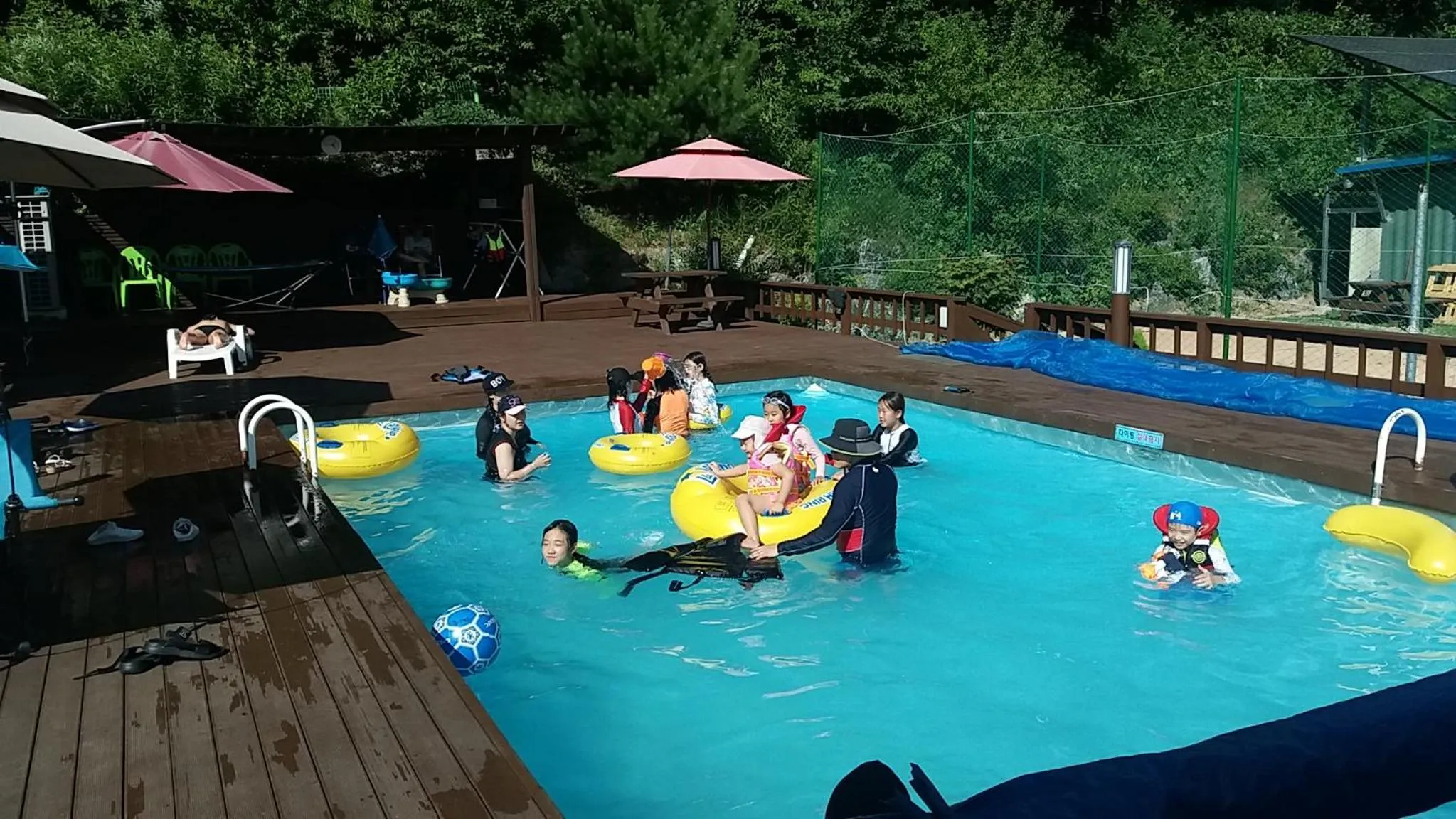 Swimming pool in Forest of Color Pension