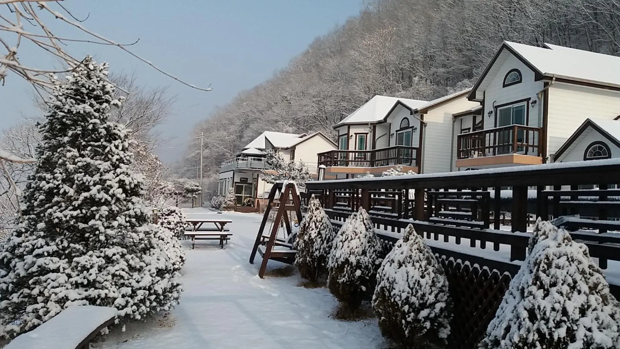 Winter in Forest of Color Pension