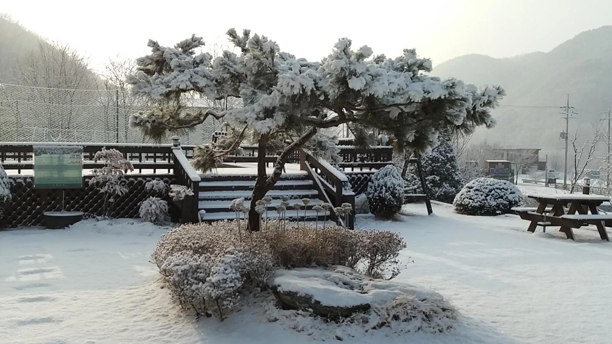 Winter in Forest of Color Pension