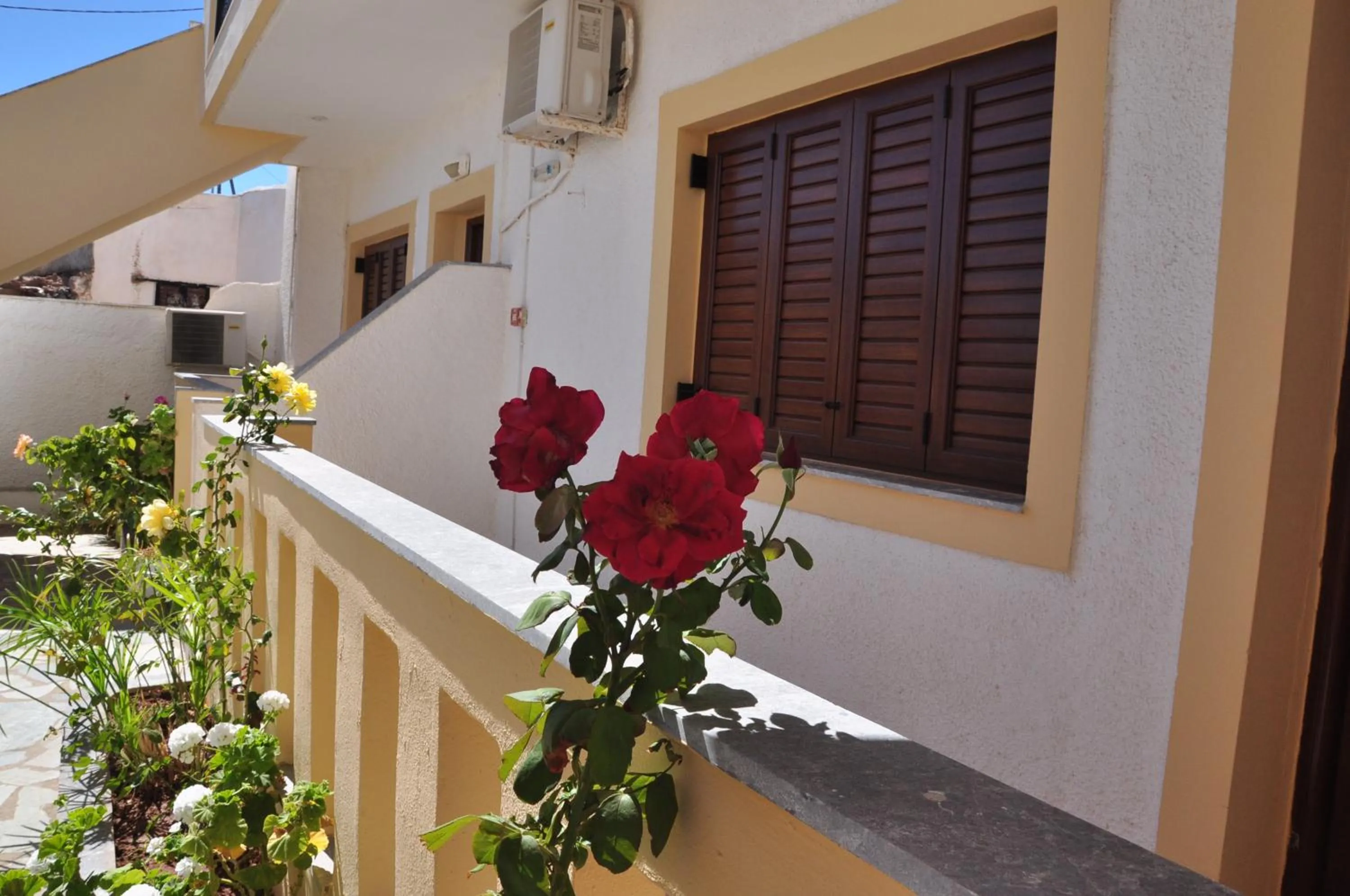 Balcony/Terrace in Flamingo Apartments