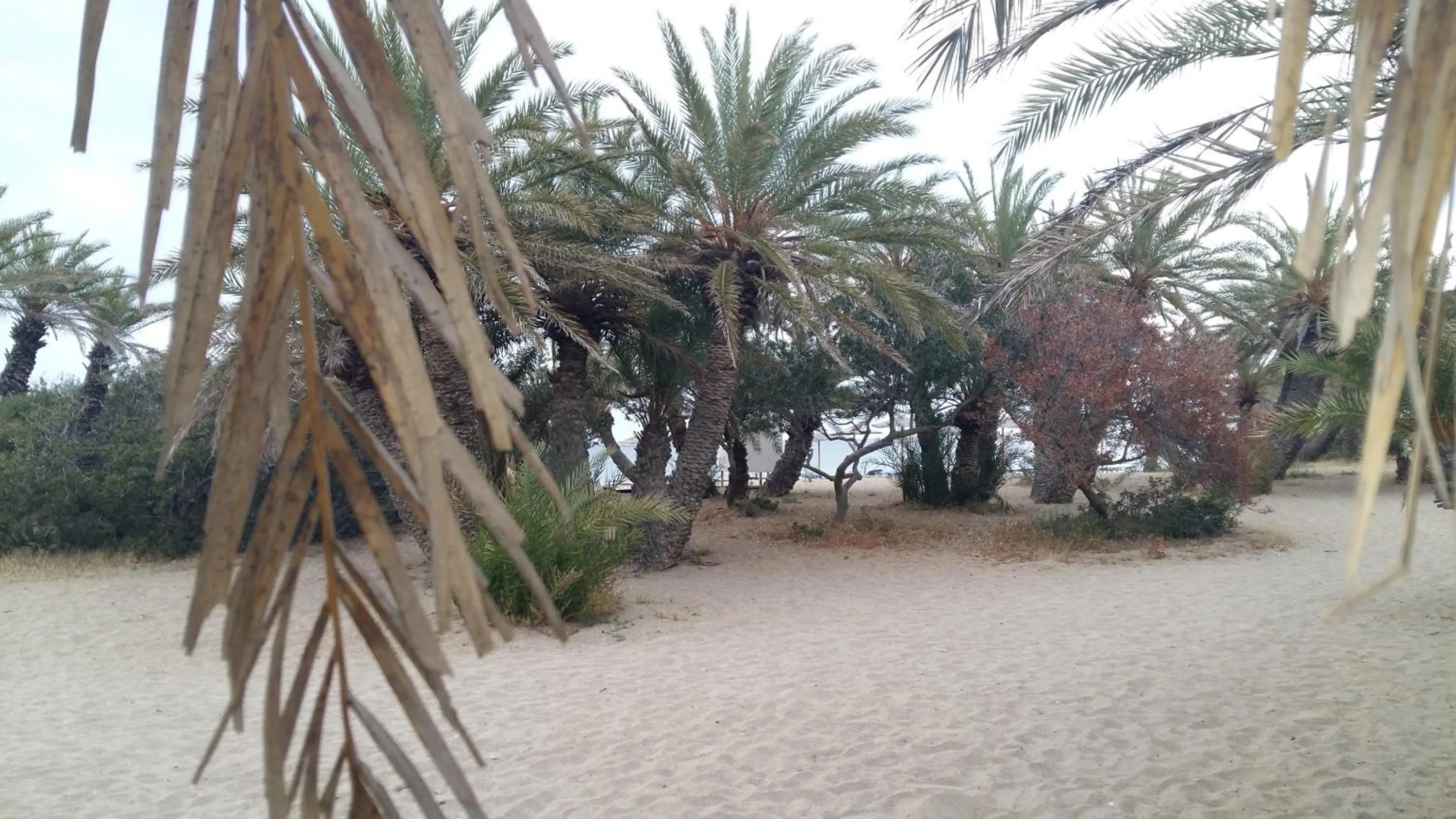 Off site in Flamingo Apartments