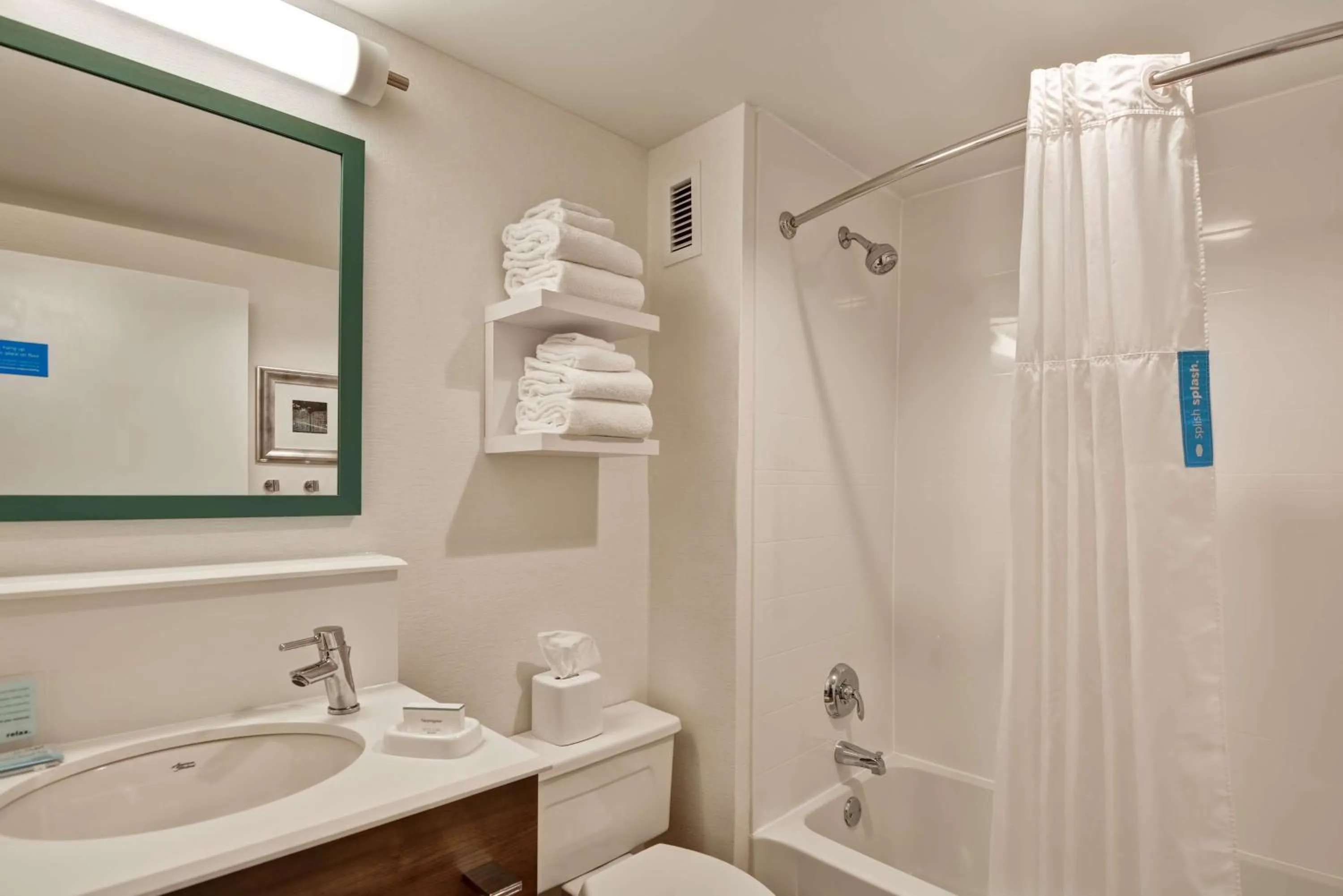 Bathroom in Hampton Inn Memphis-Poplar