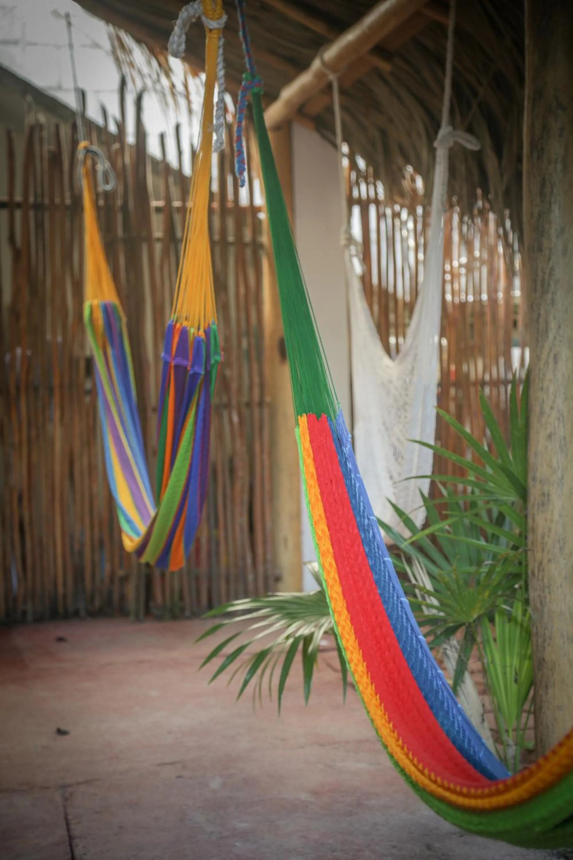 Garden view in Seven Blue House Village & Lodge