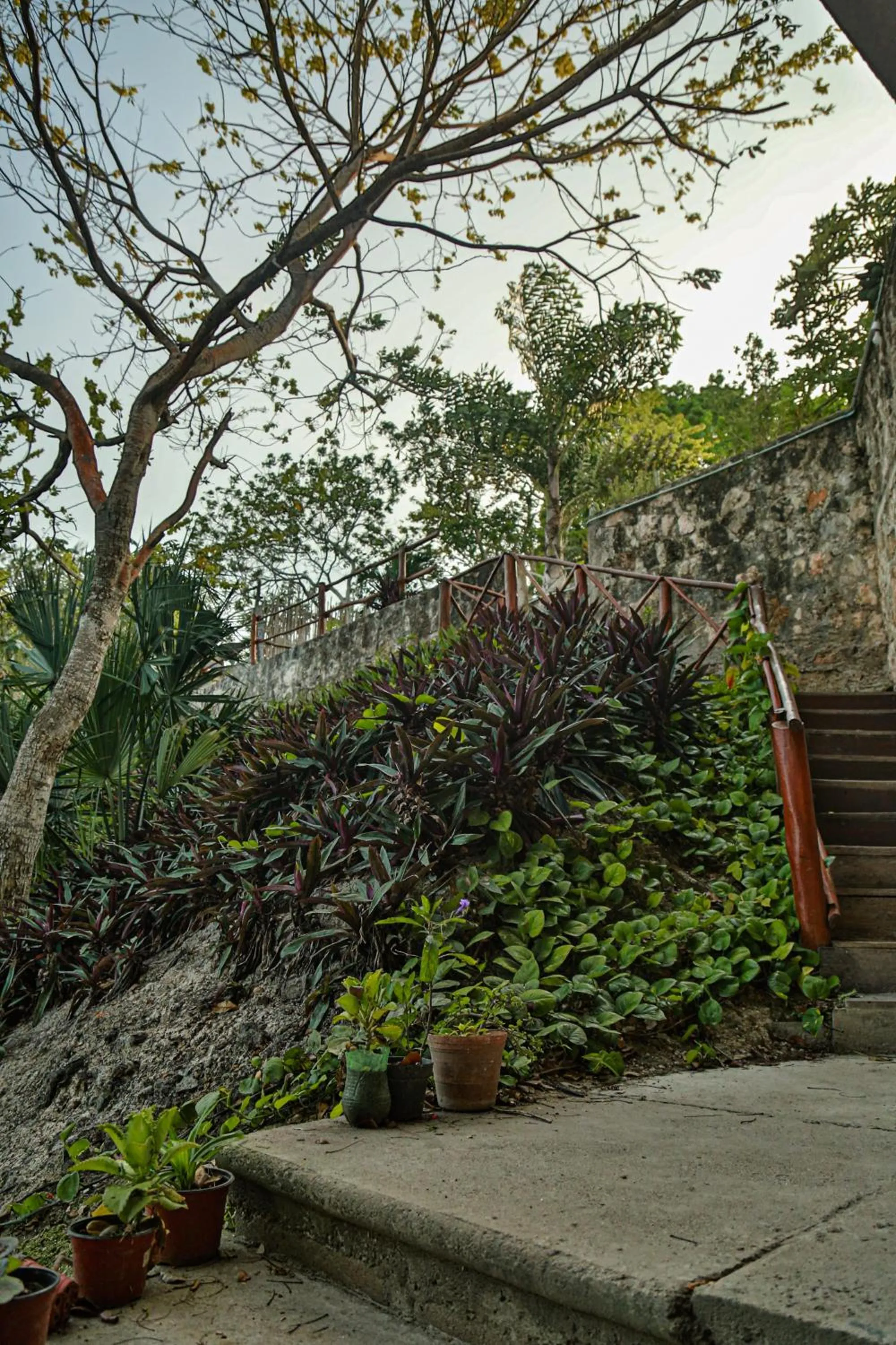 Area and facilities in Seven Blue House Village & Lodge