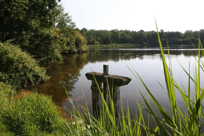 Nearby landmark in Grand Hôtel du Lion d'Or