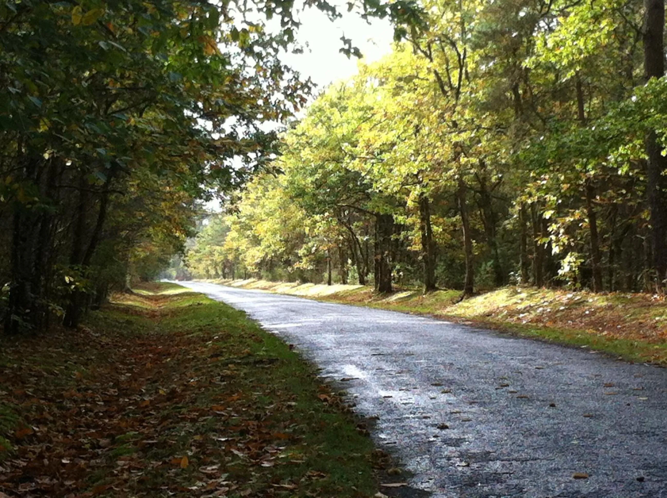 Natural landscape in Grand Hôtel du Lion d'Or