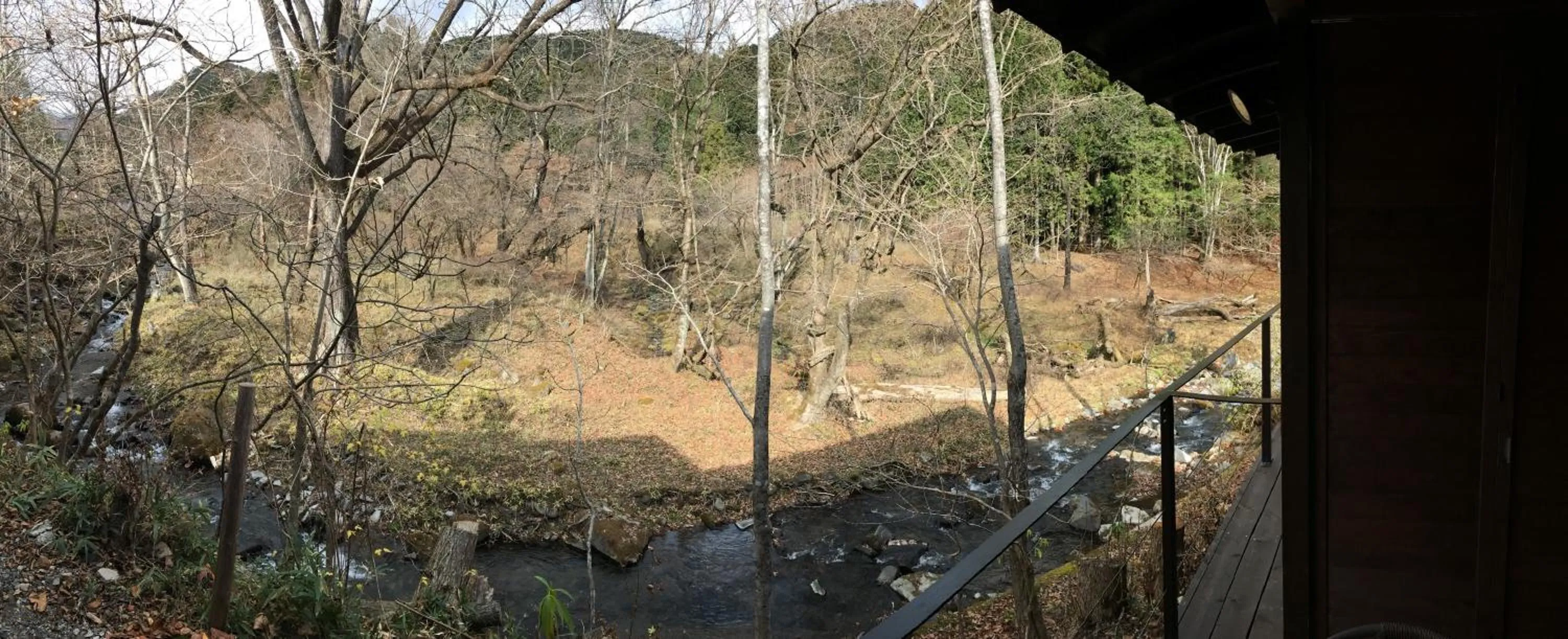 Mountain view in B&B Izumi Nikko