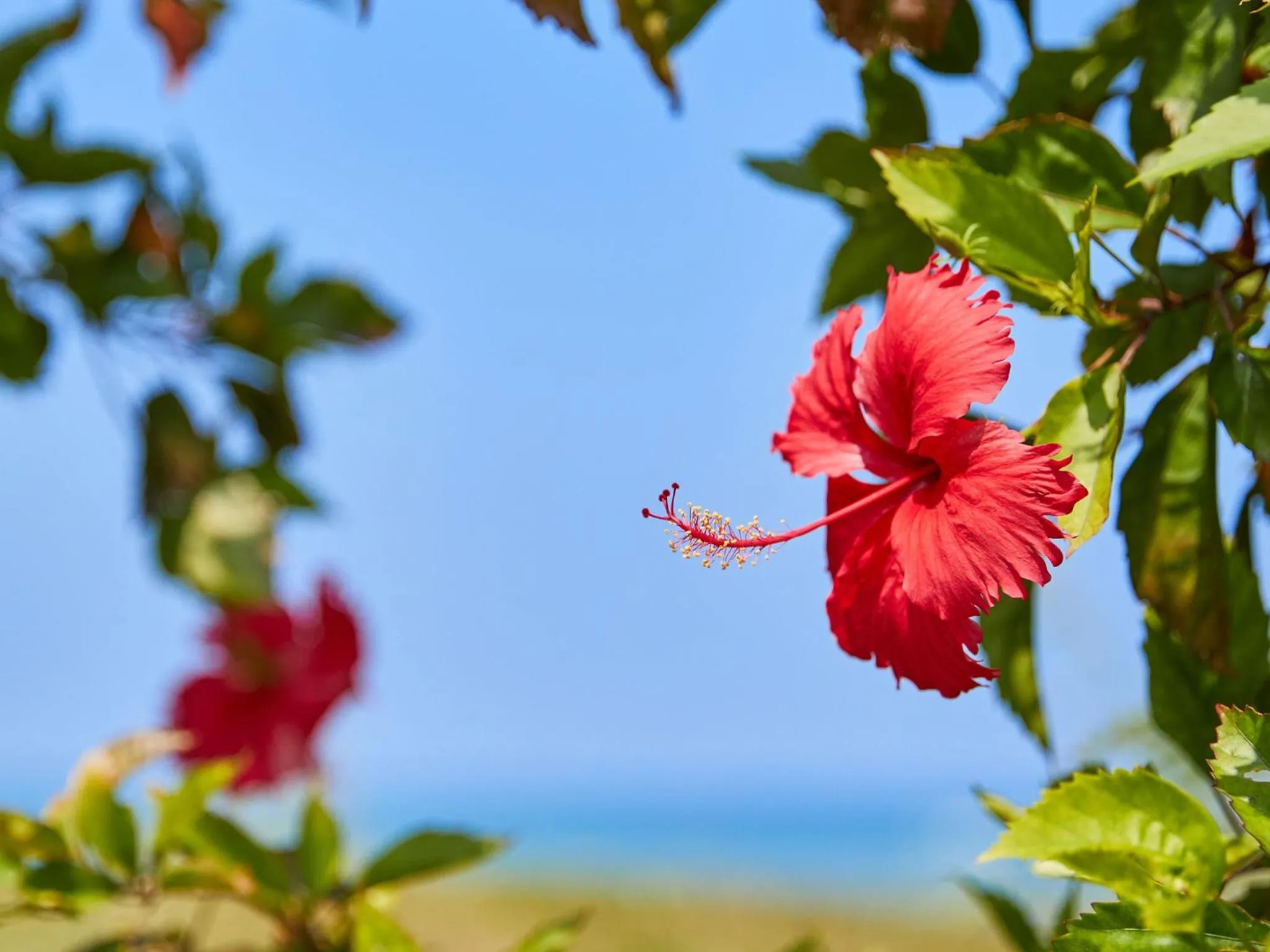 Day in ミチ旅ホテル 読谷