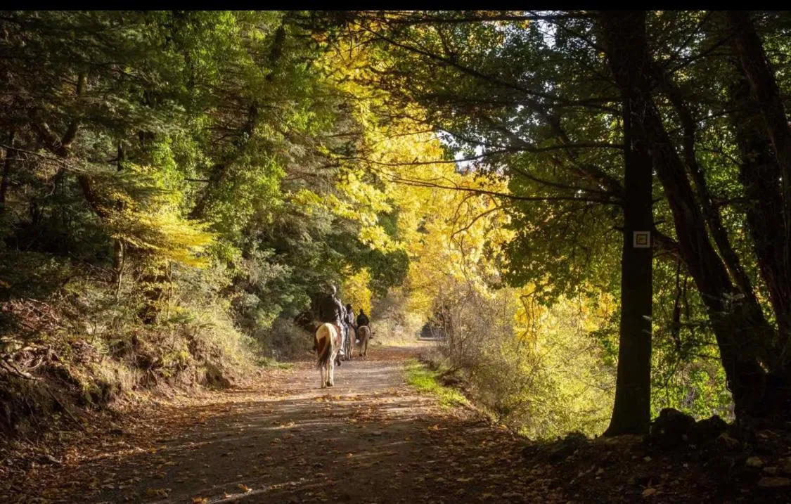 Horse-riding in Mylaon Boutique Hotel & Spa