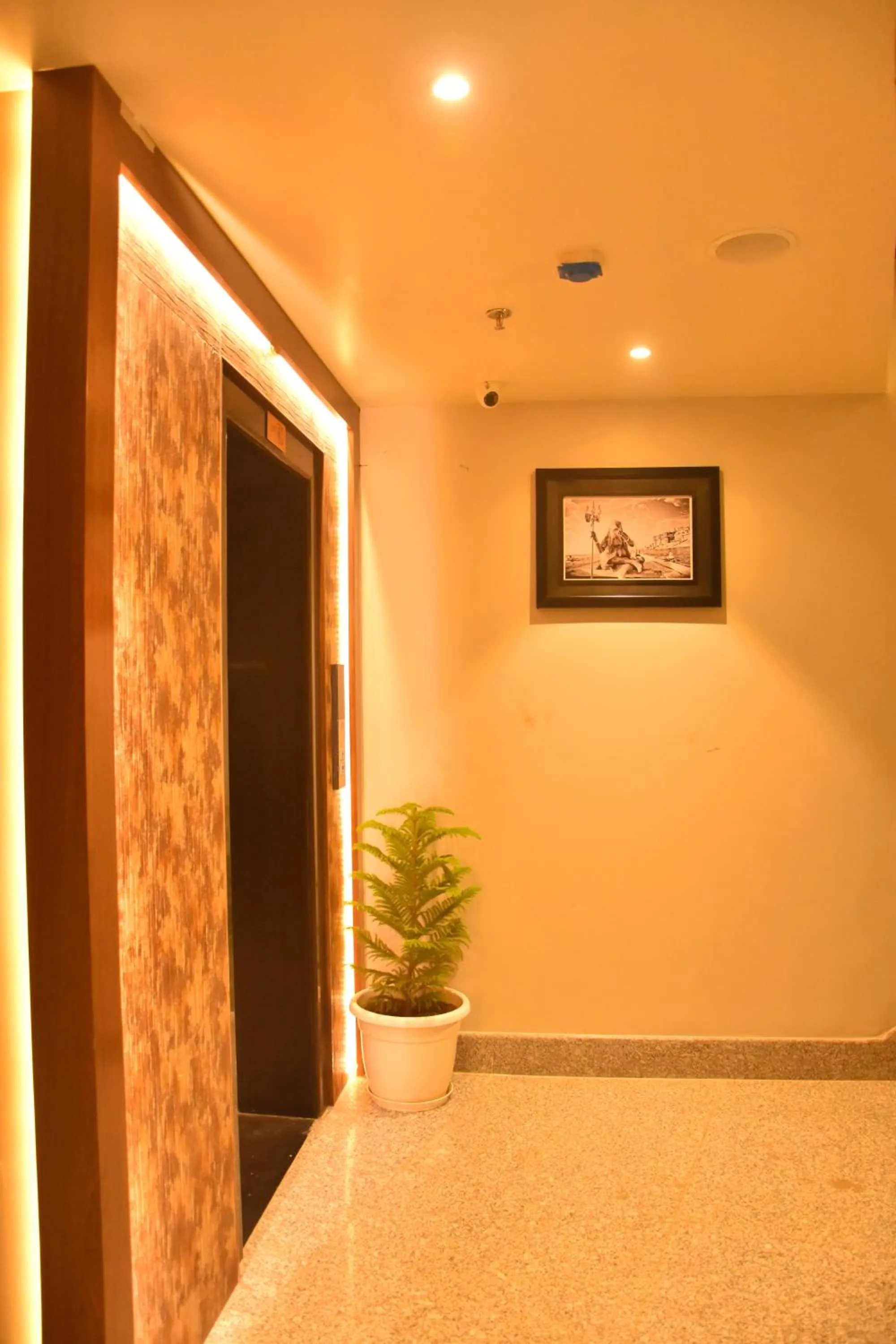 elevator in Hotel Abhinav International