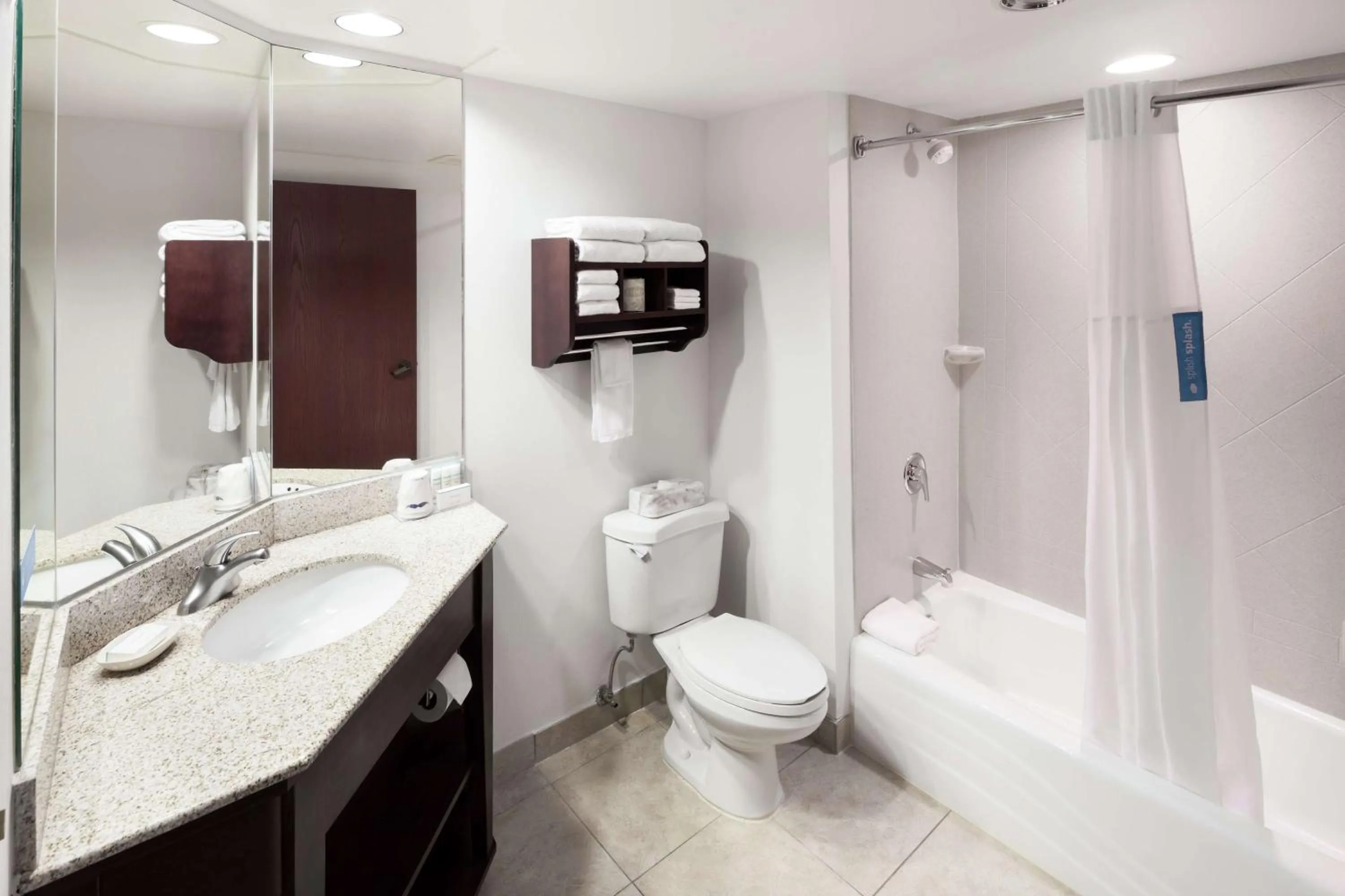 Bathroom in Hampton Inn Kansas City Liberty