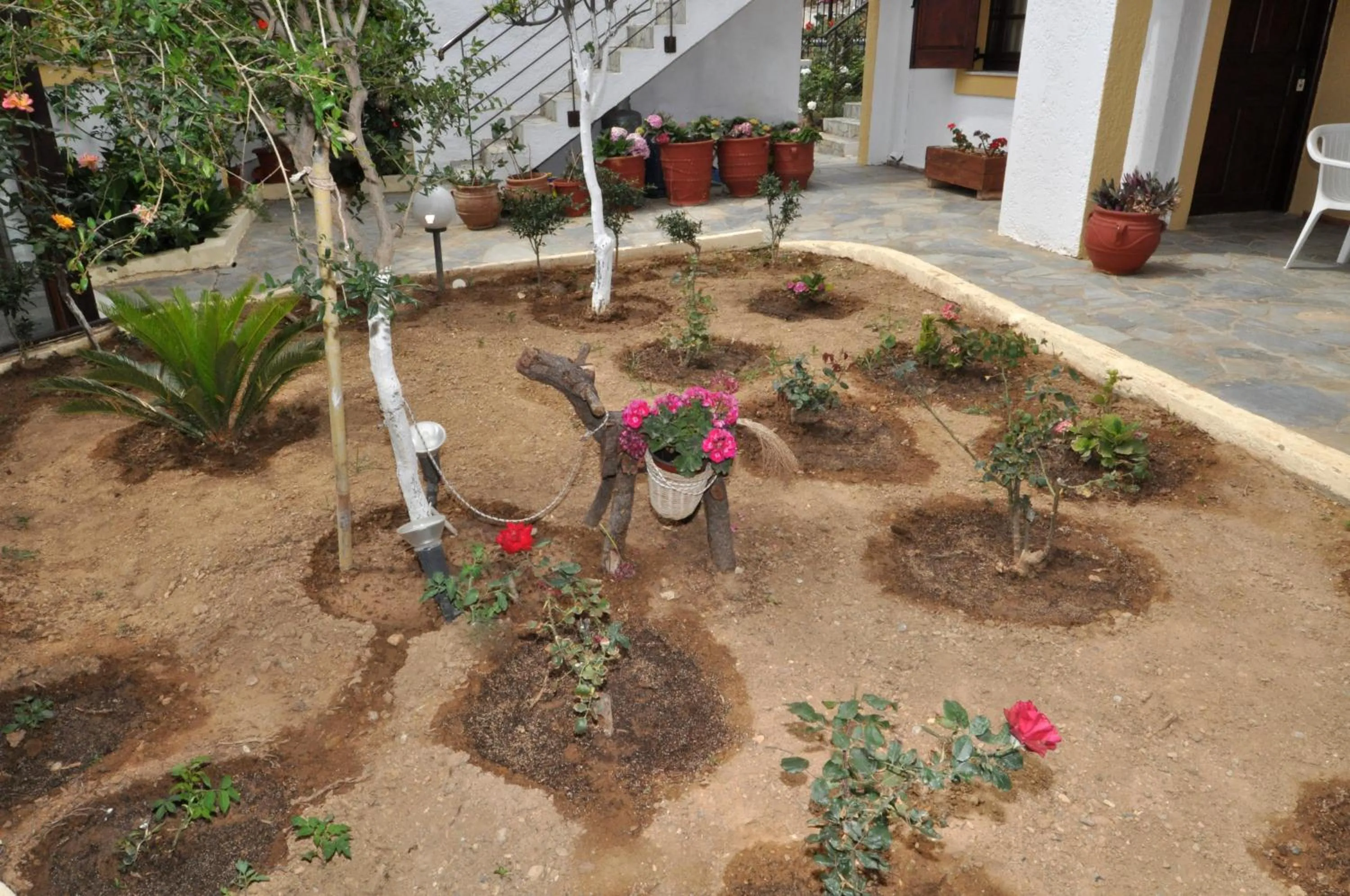 Garden in Pennystella Apartments