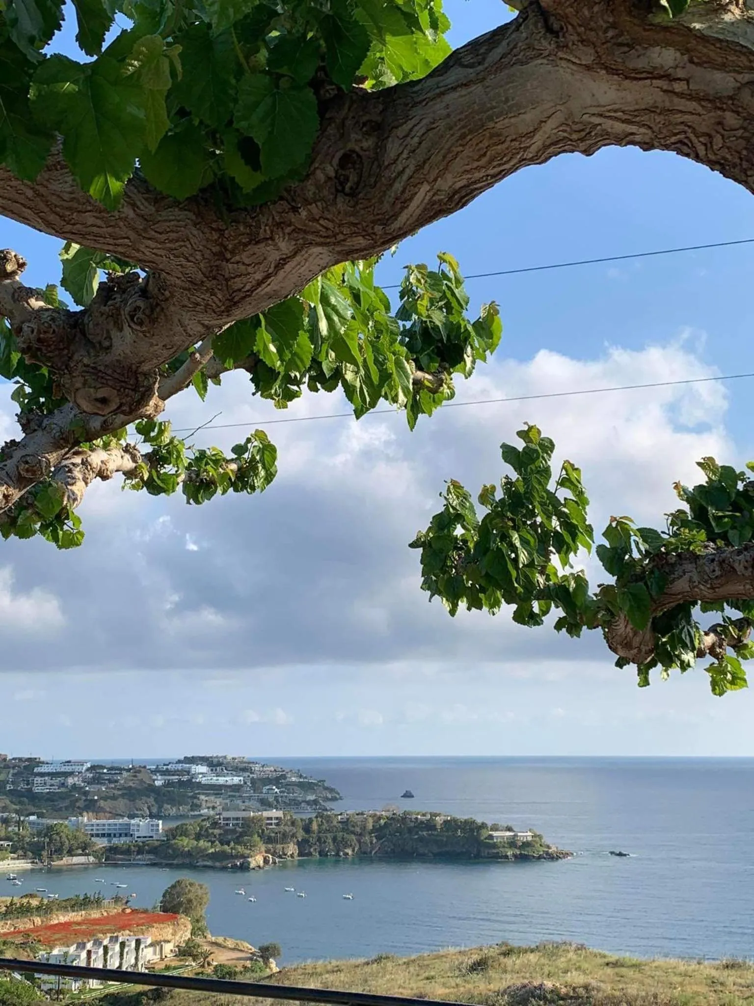 Pennystella Apartments