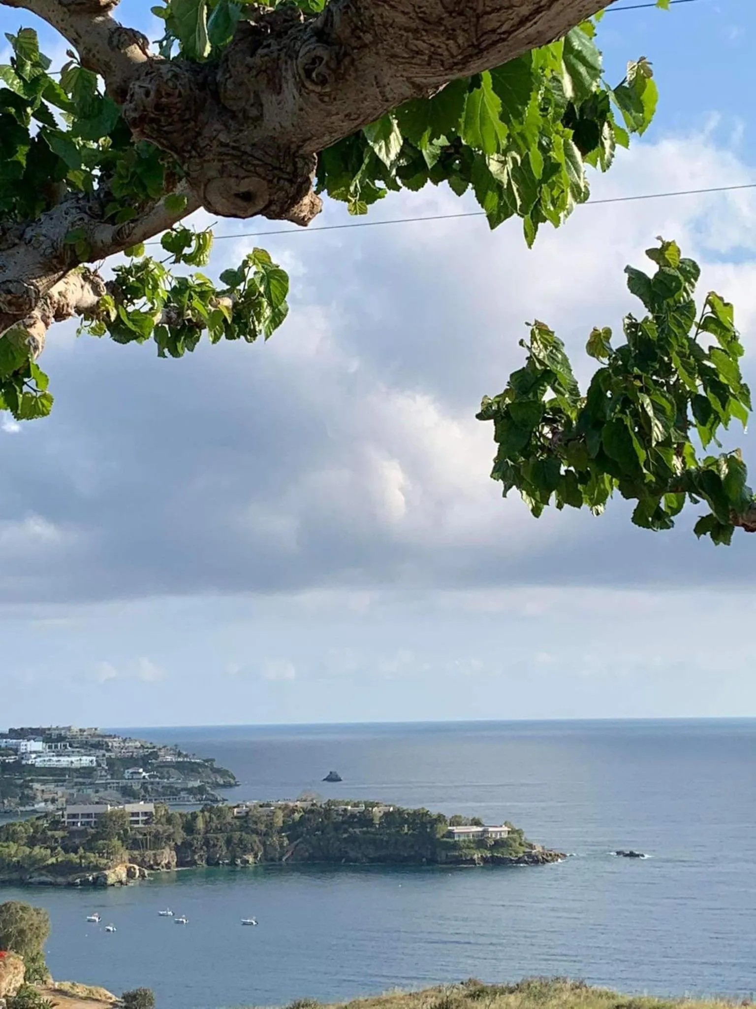 Pennystella Apartments