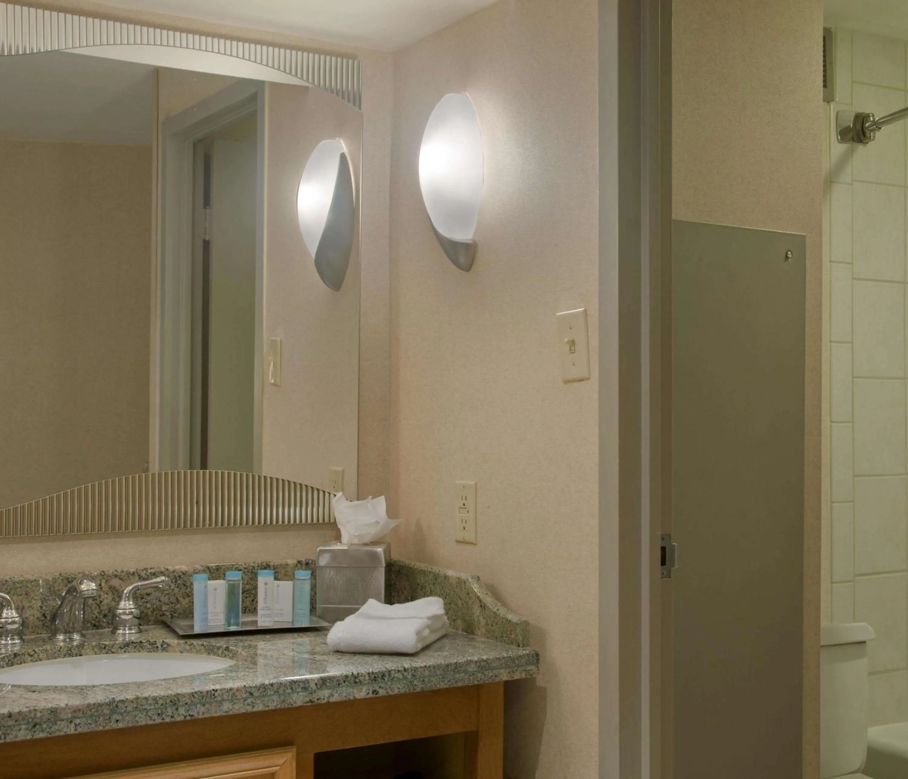 Bathroom in Hilton Memphis