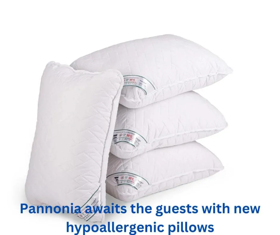 Pannónia Rooms and Apartments