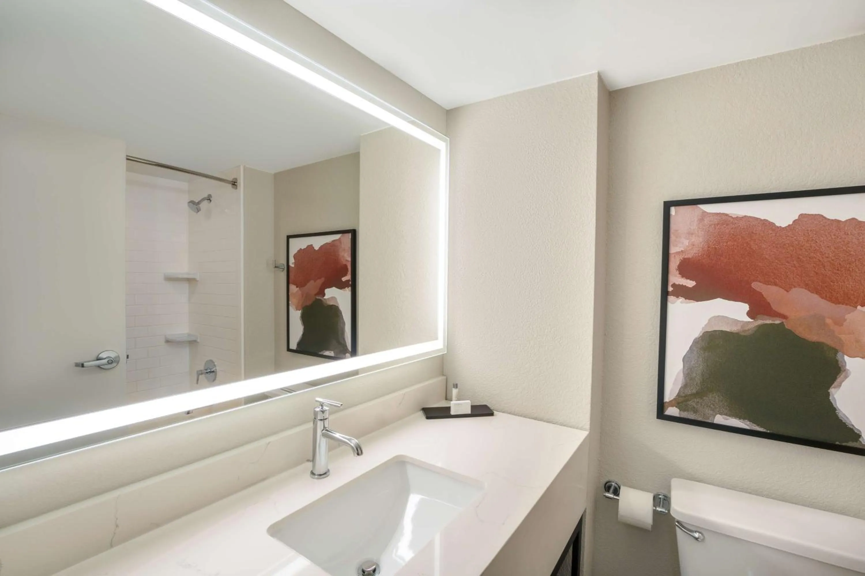 Bathroom in Embassy Suites by Hilton Memphis East Germantown Area