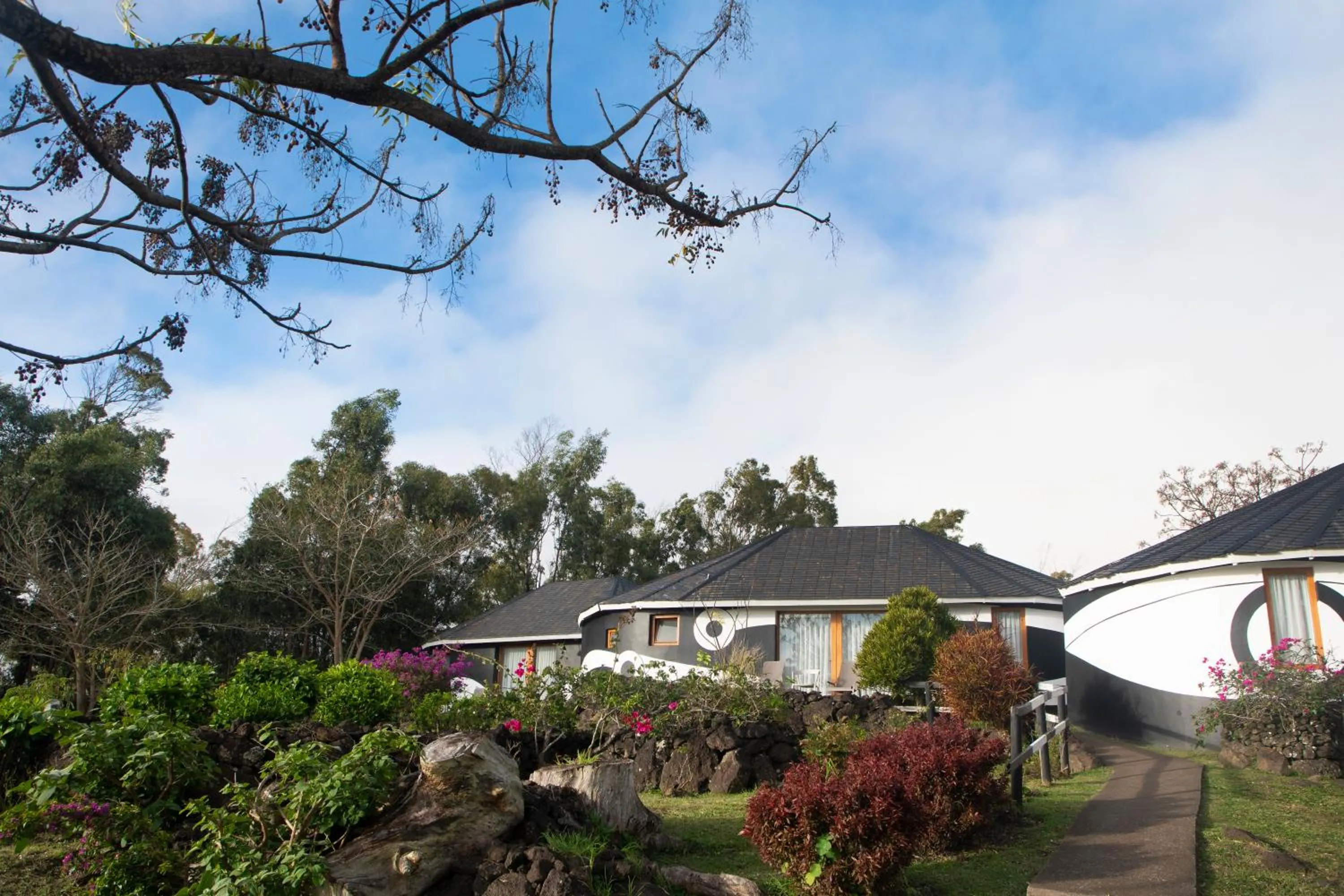 View (from property/room) in Altiplanico Rapa Nui