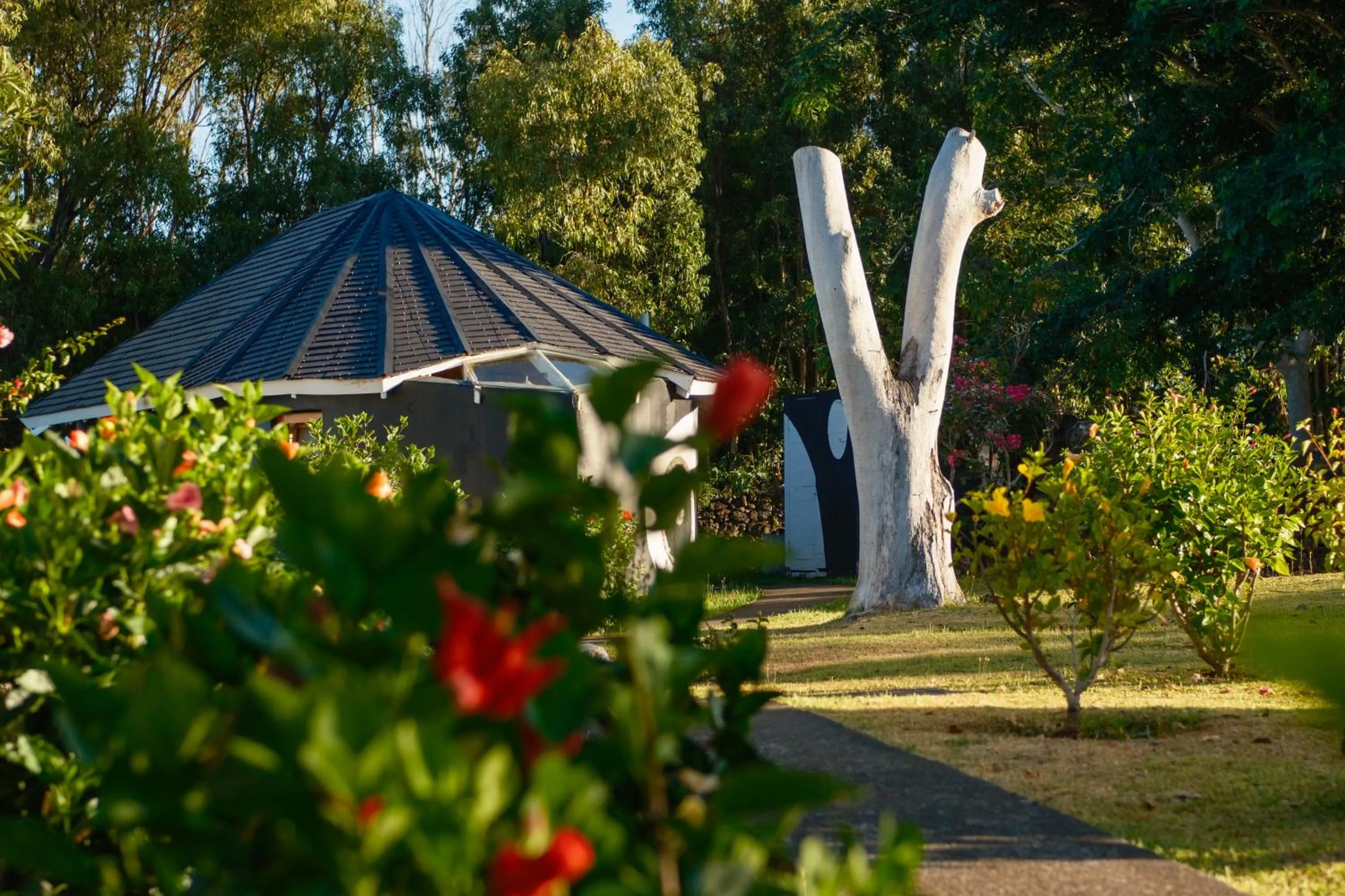 Natural landscape in Altiplanico Rapa Nui