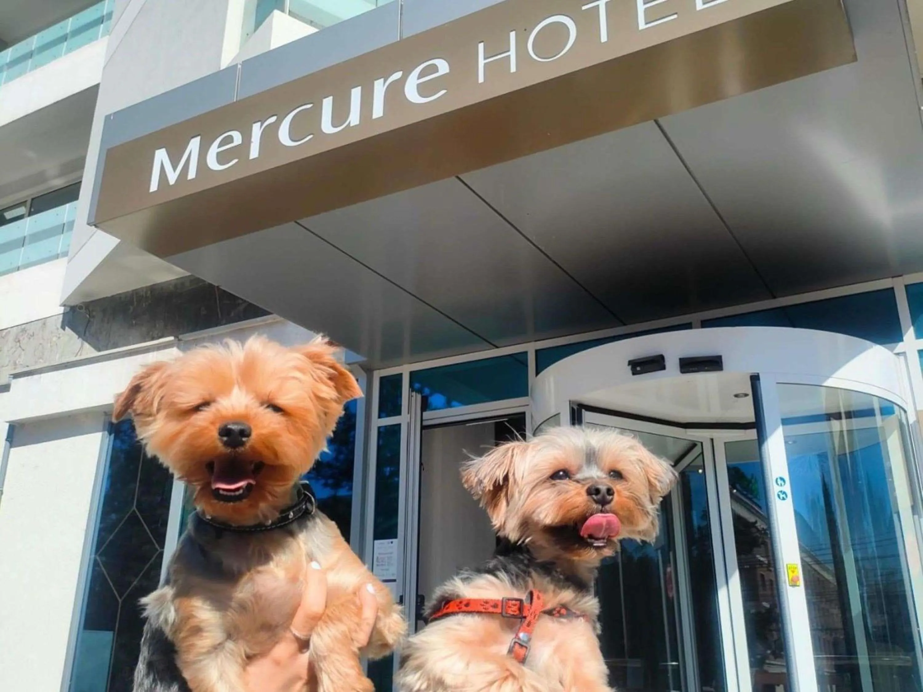 Other in Mercure Galati Centrum