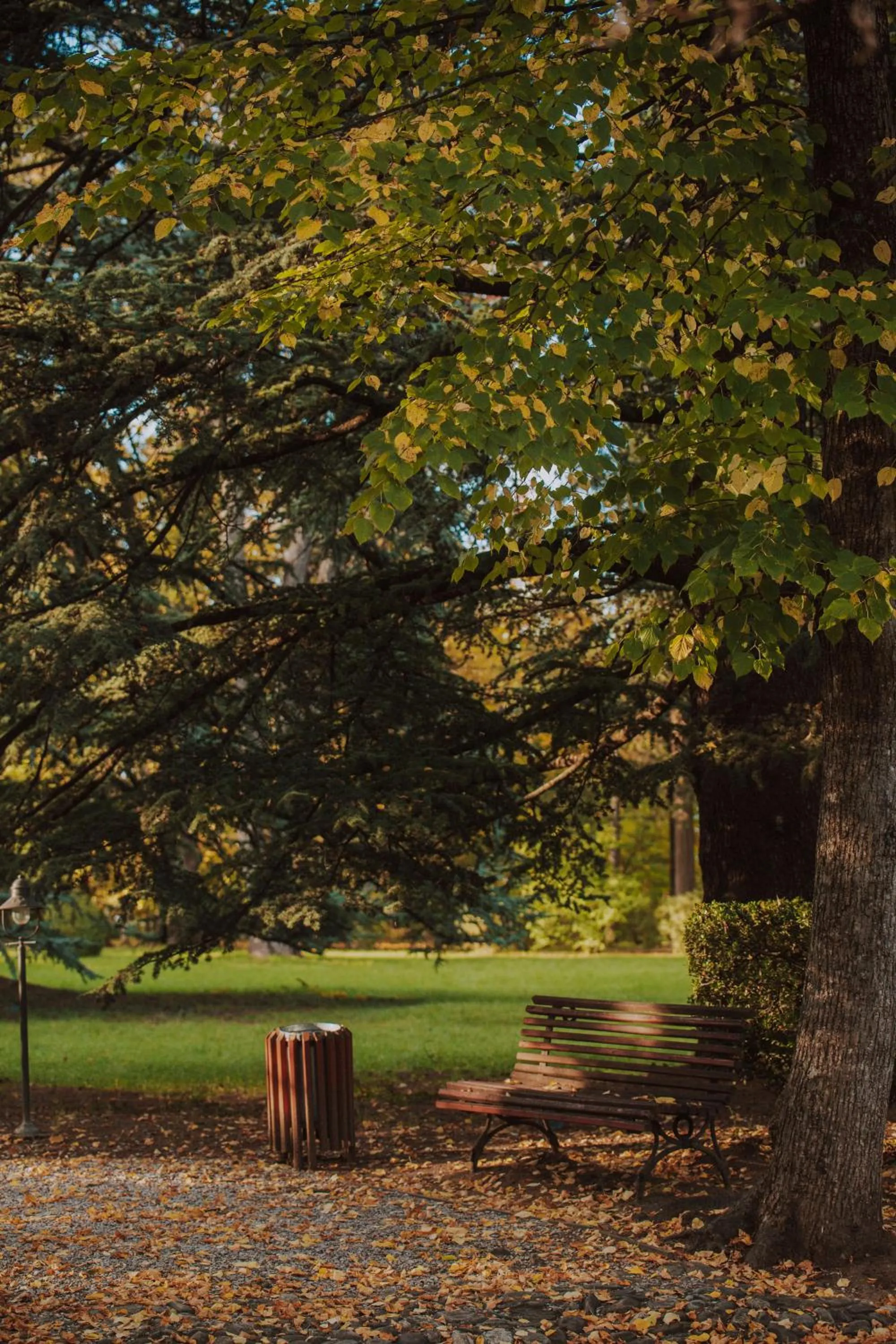Garden in Tsinandali Estate, A Radisson Collection Hotel