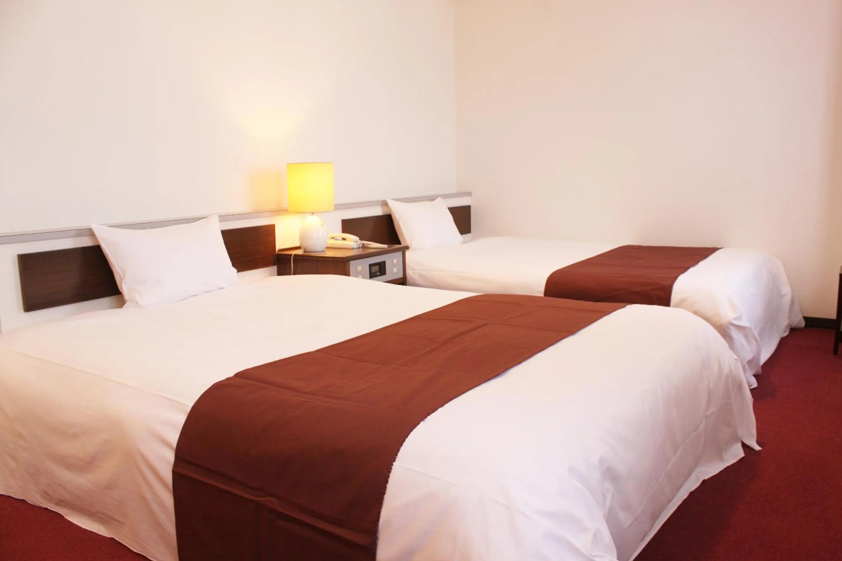 Deluxe Twin Room - single occupancy in HOTEL LiVEMAX BUDGET Iyo Mishima