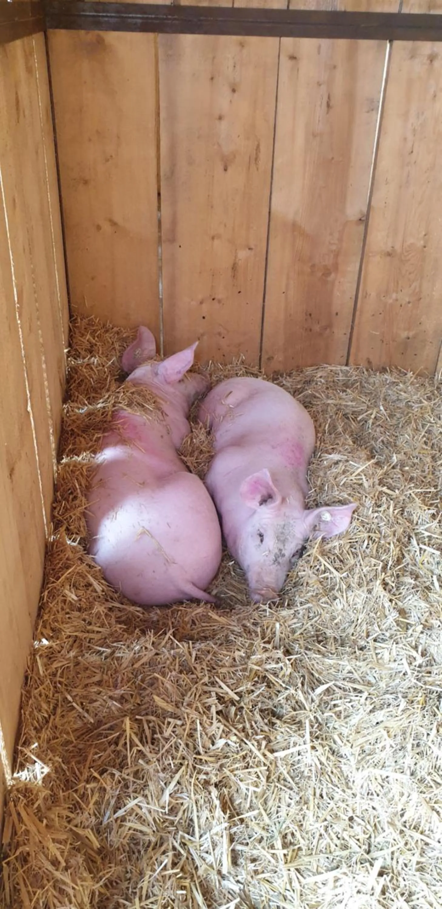 Chrom Ranch Reiterhof