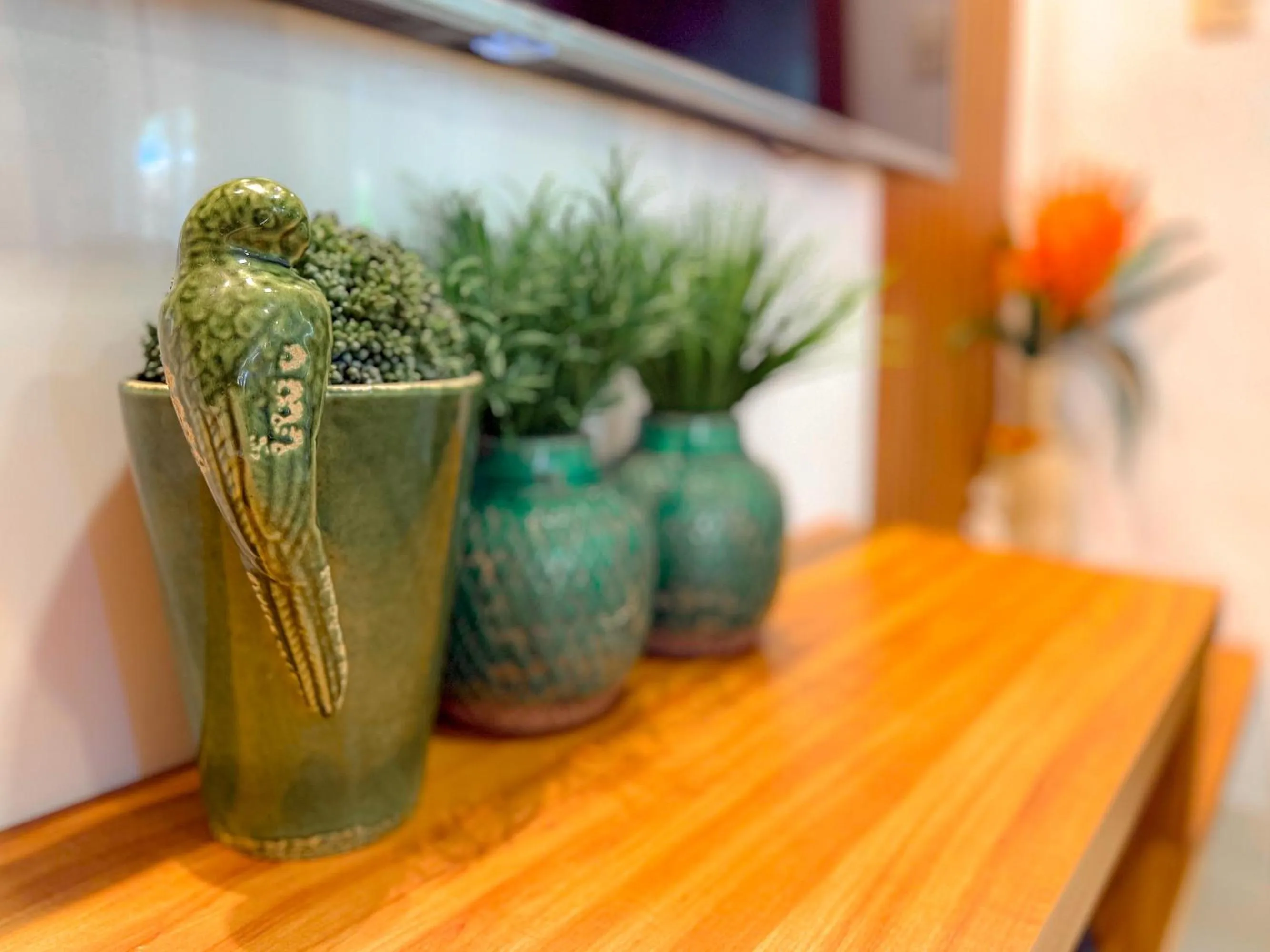 Mont Ararat Alto da Pitinga - Rede Tonziro