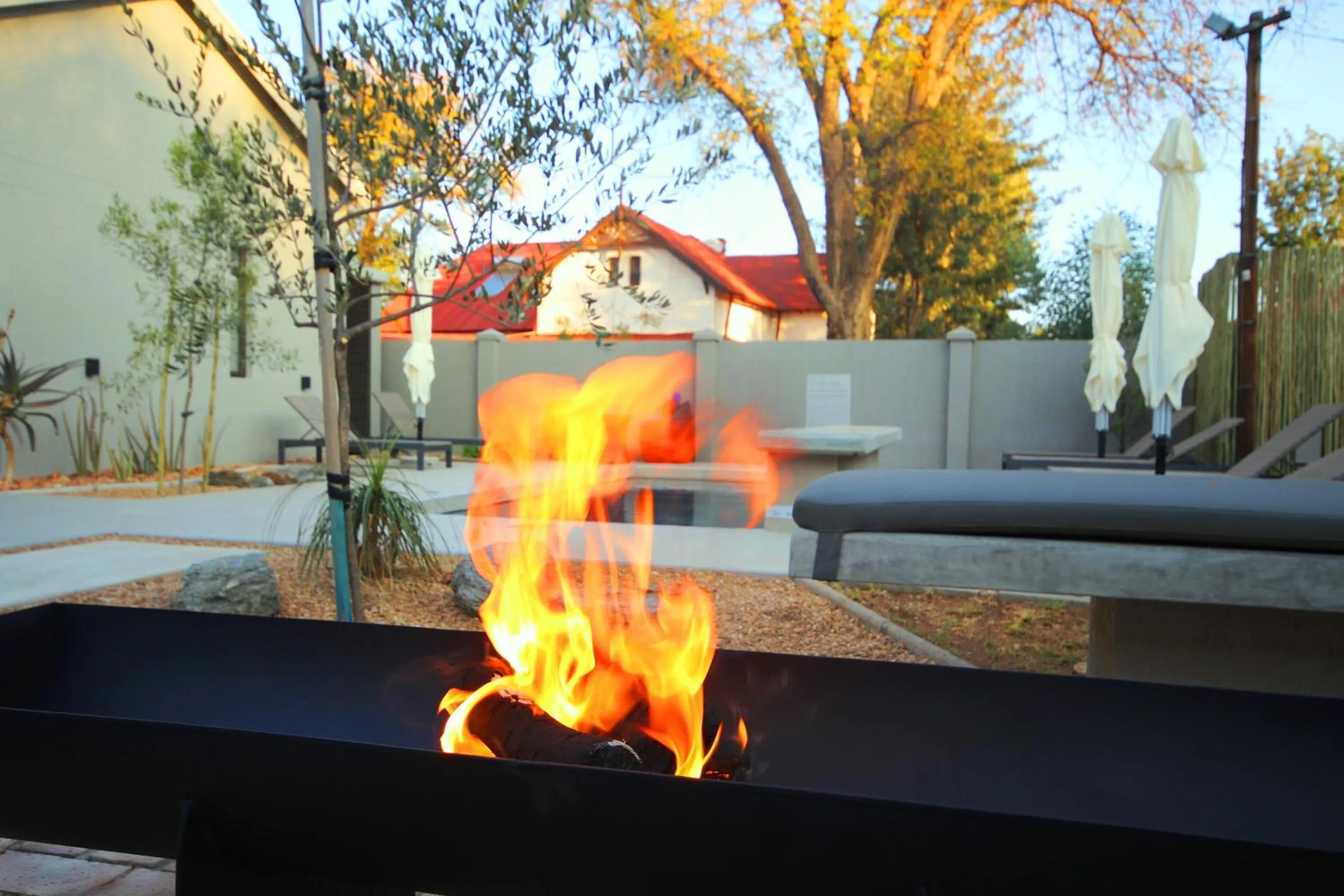 Garden in The Elegant Guesthouse