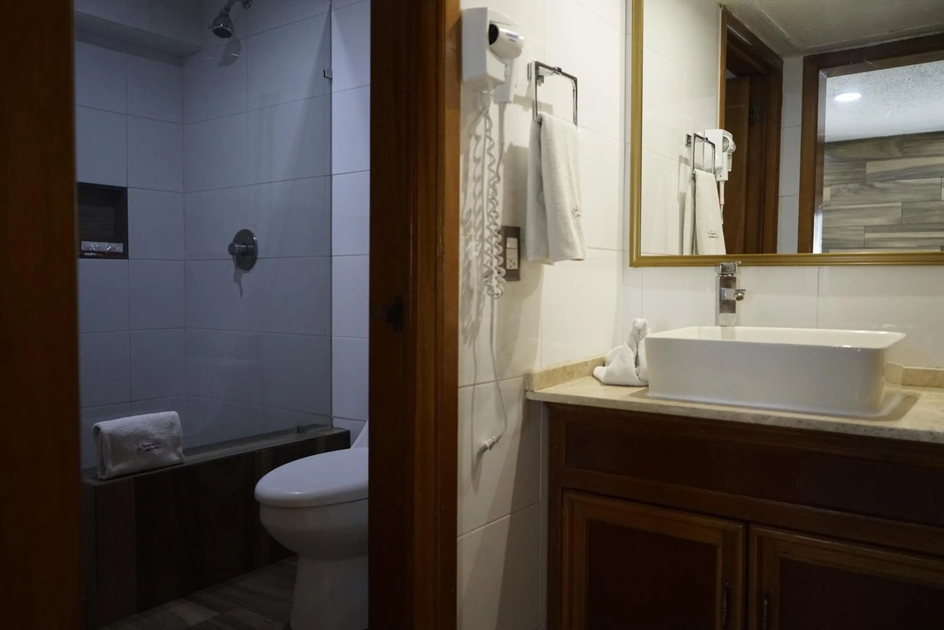 Bathroom in Hotel Santiago De Compostela - Guadalajara Centro Historico