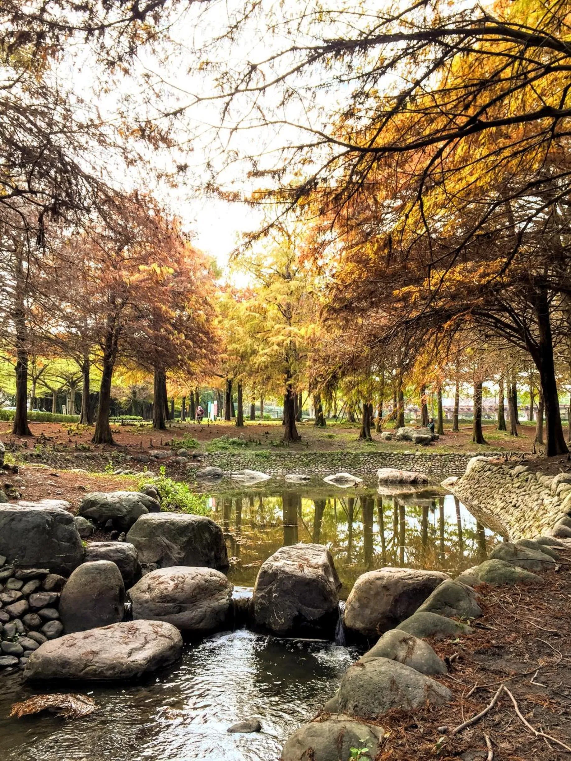 Nearby landmark in Shire Homestay