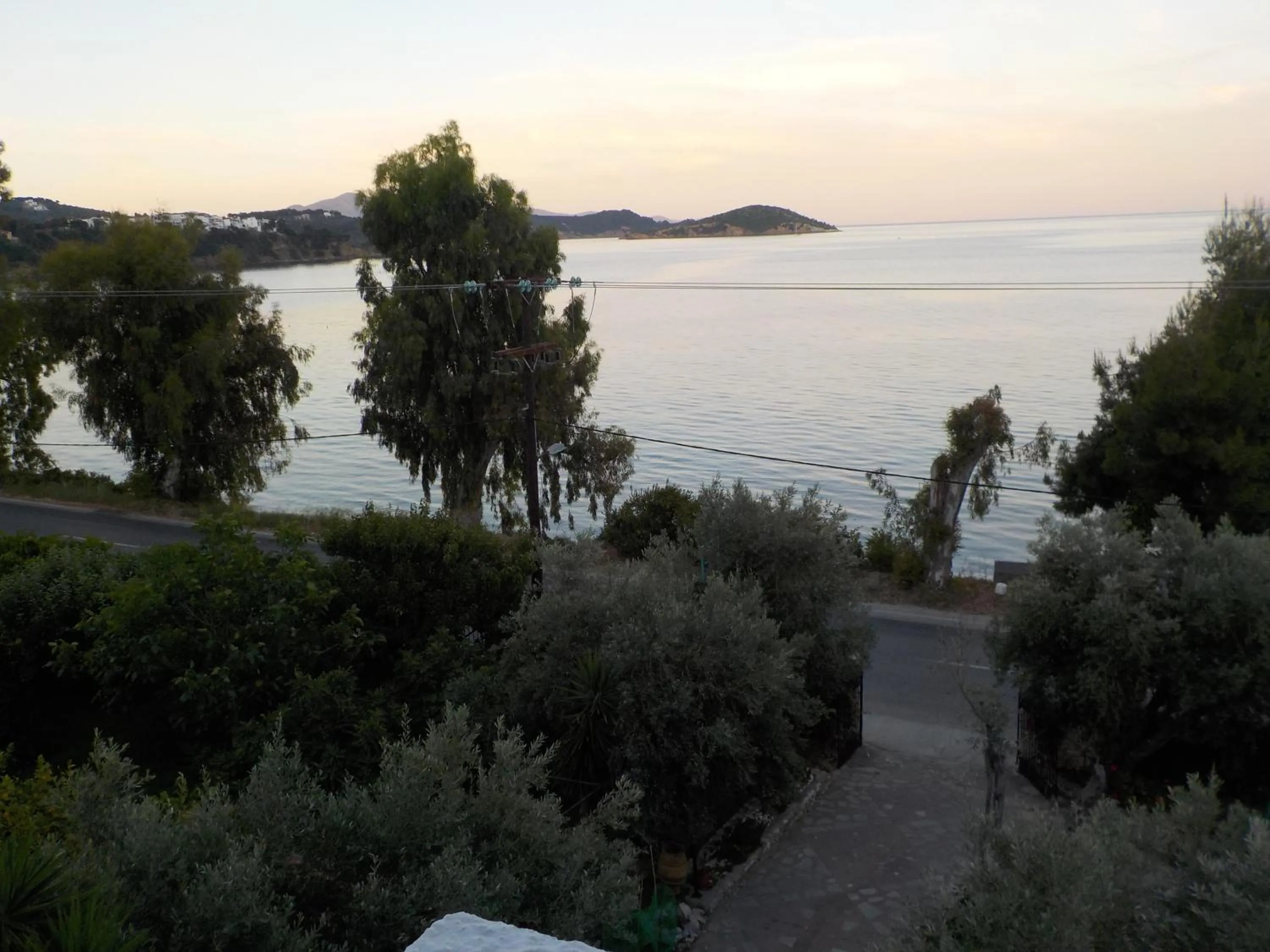 Street view in Azalea