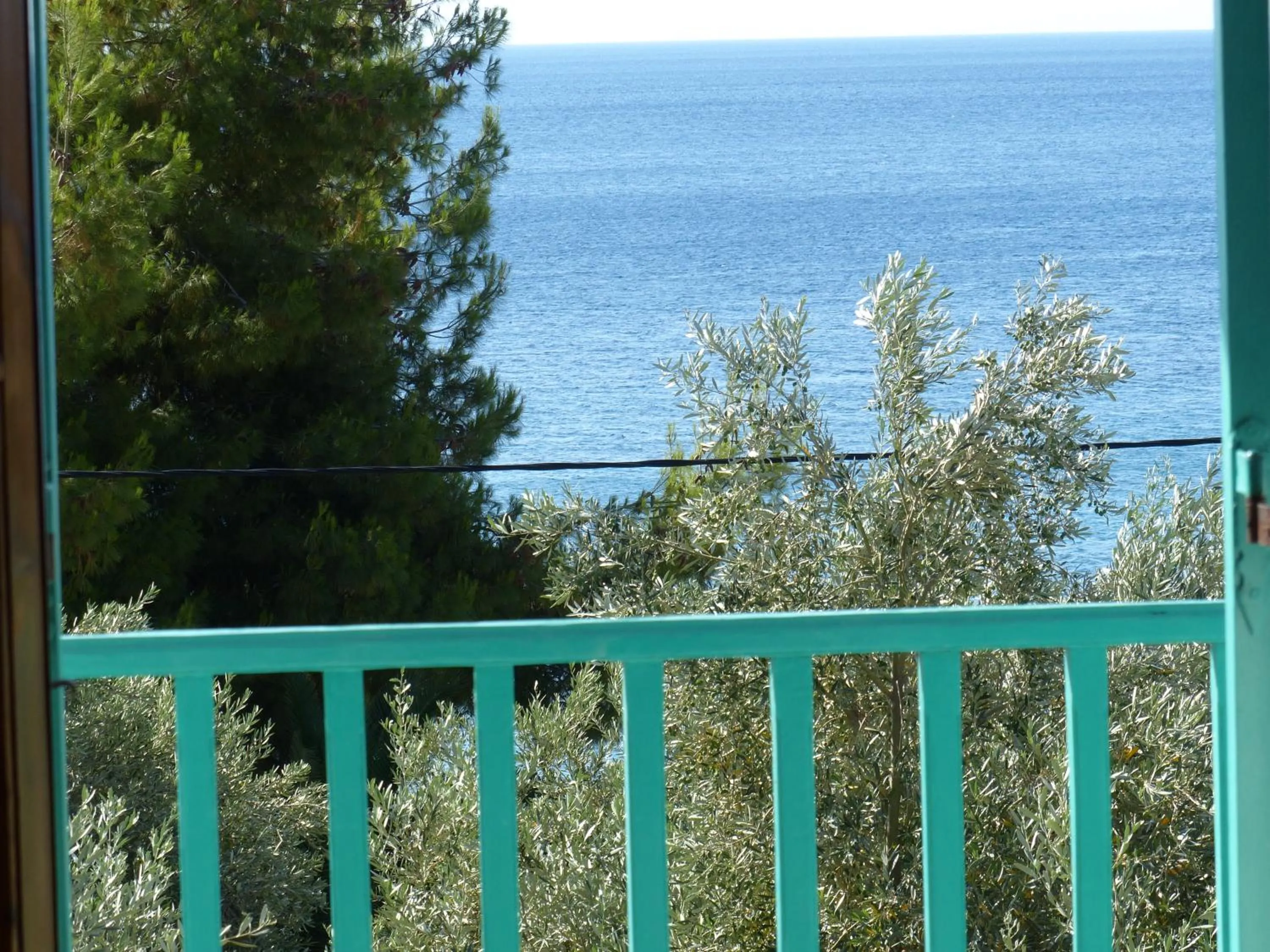 Garden view in Azalea