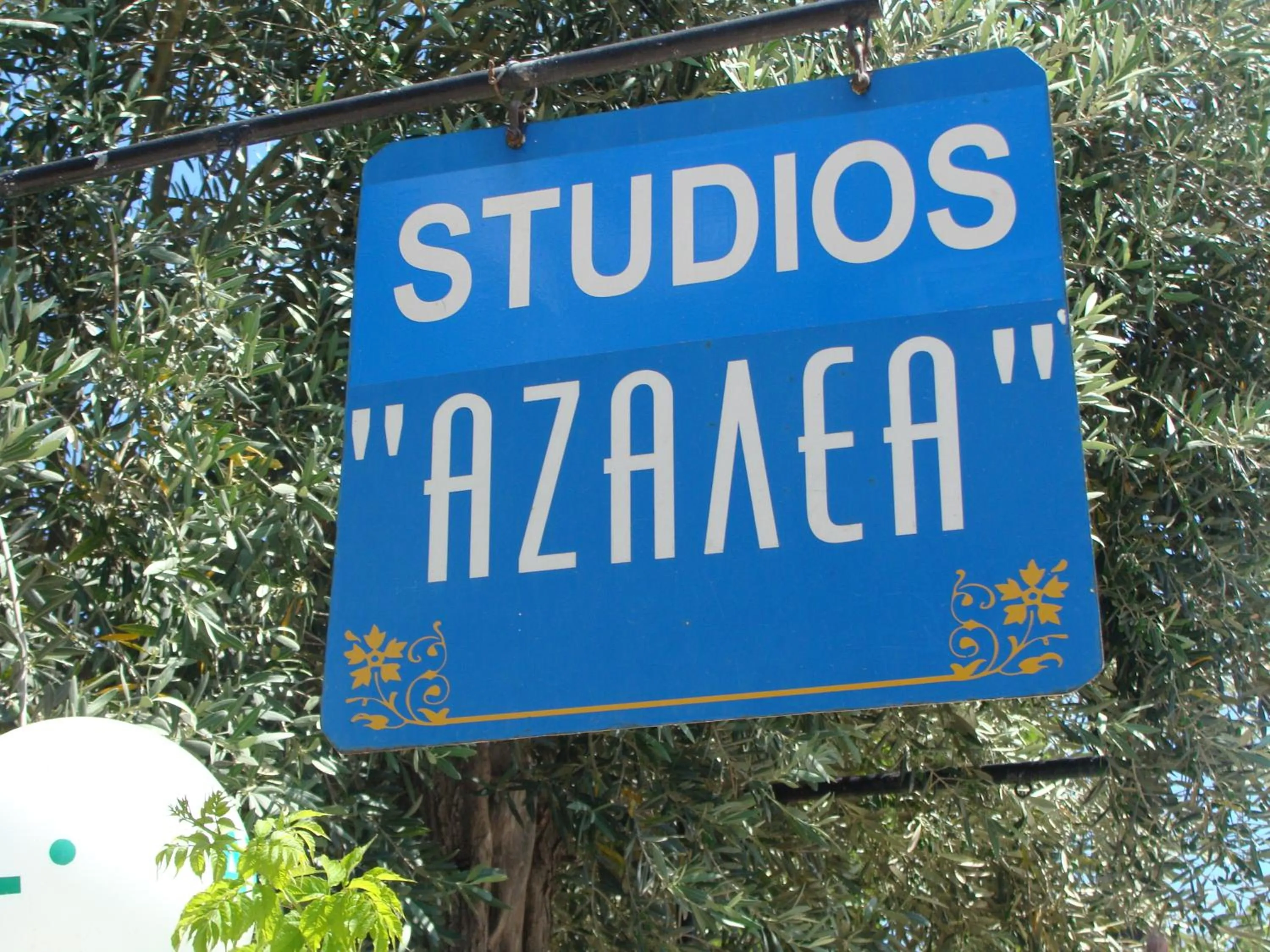 Property logo or sign in Azalea