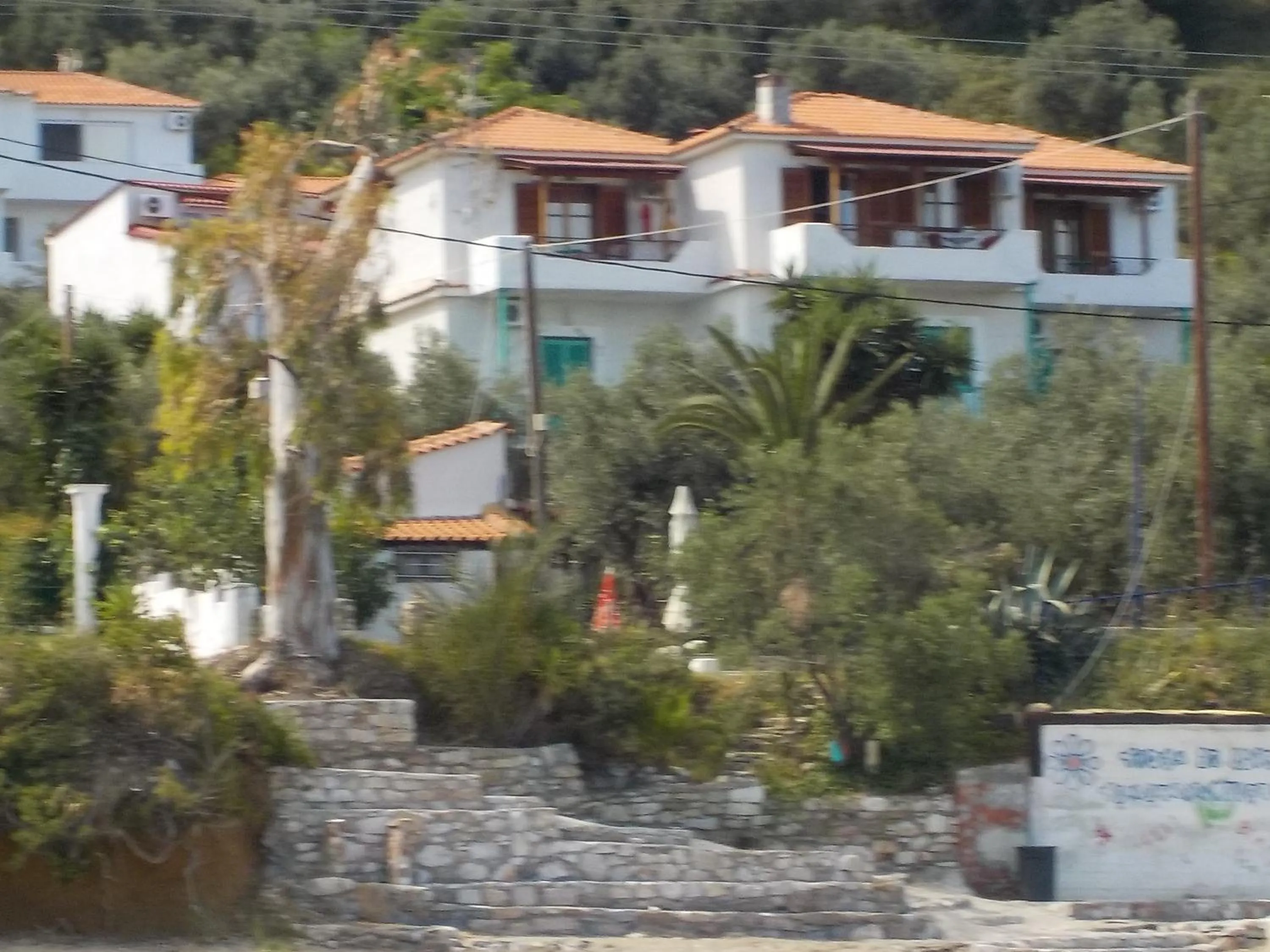 Bird's eye view in Azalea