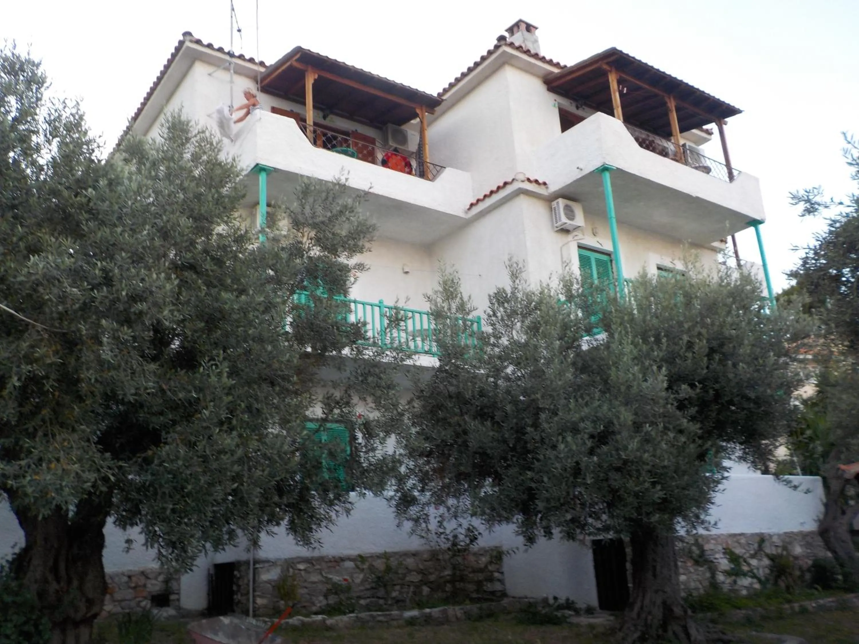 Property building in Azalea