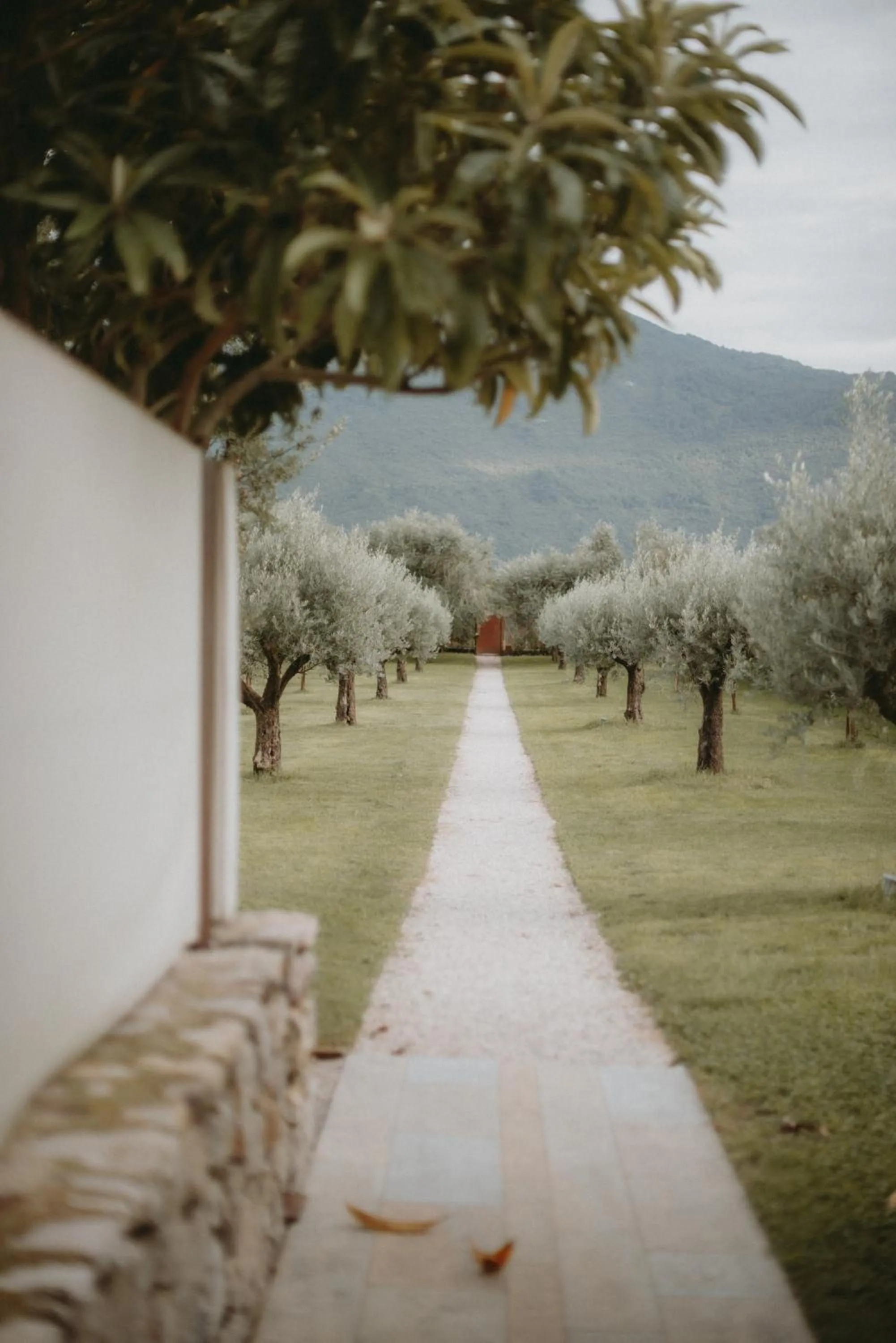 Vivere Suites & Rooms