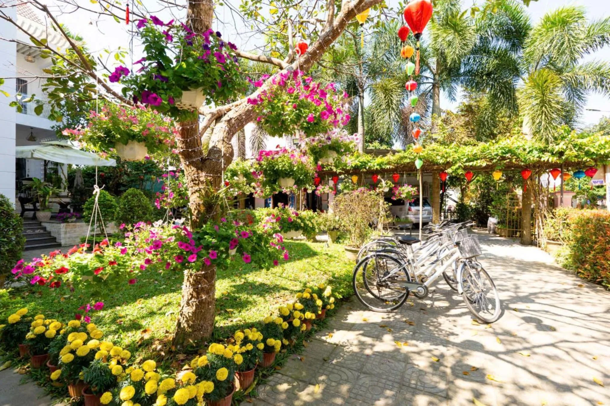 Garden view in Chi Thanh Villa