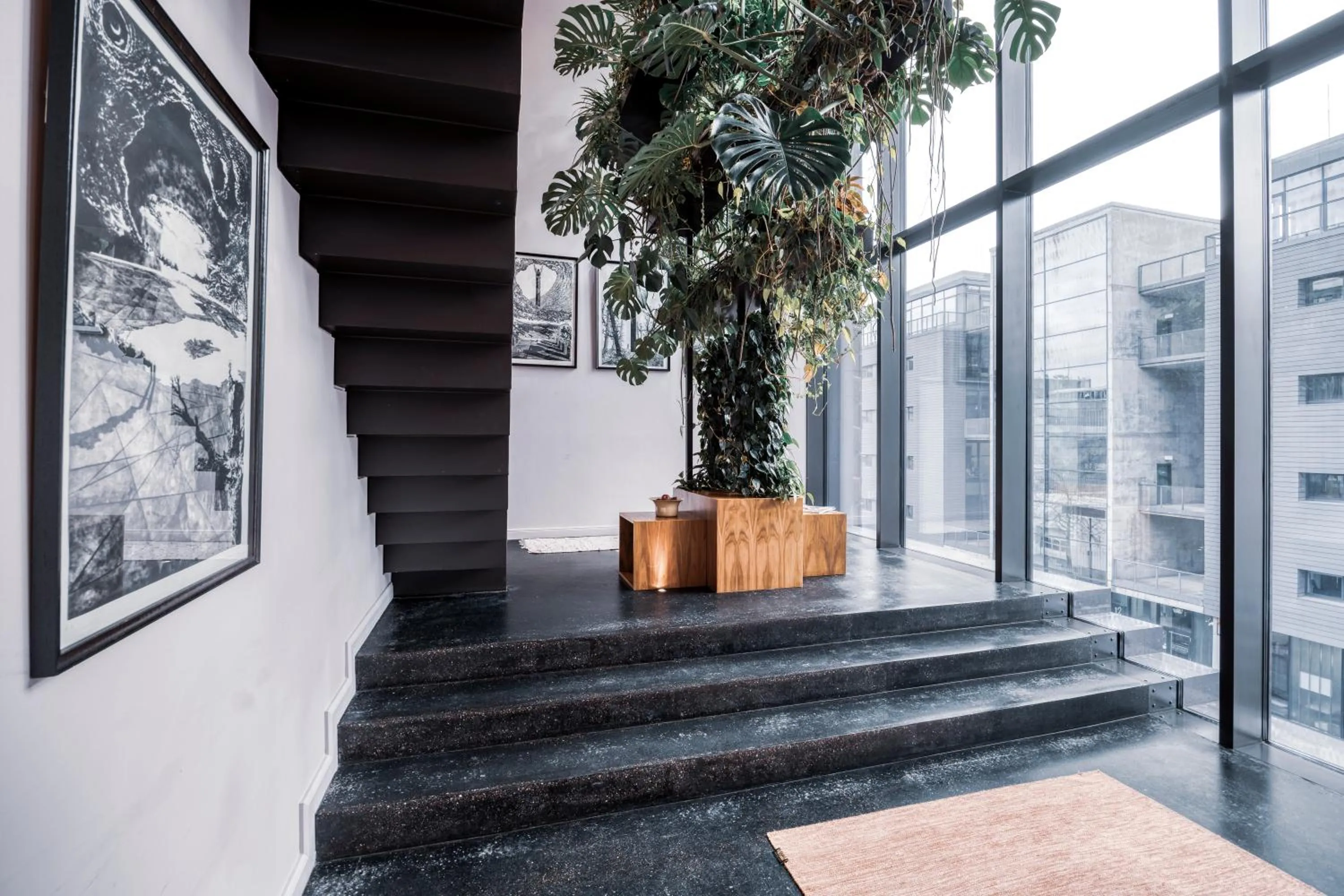 View (from property/room) in Lindley Lindenberg