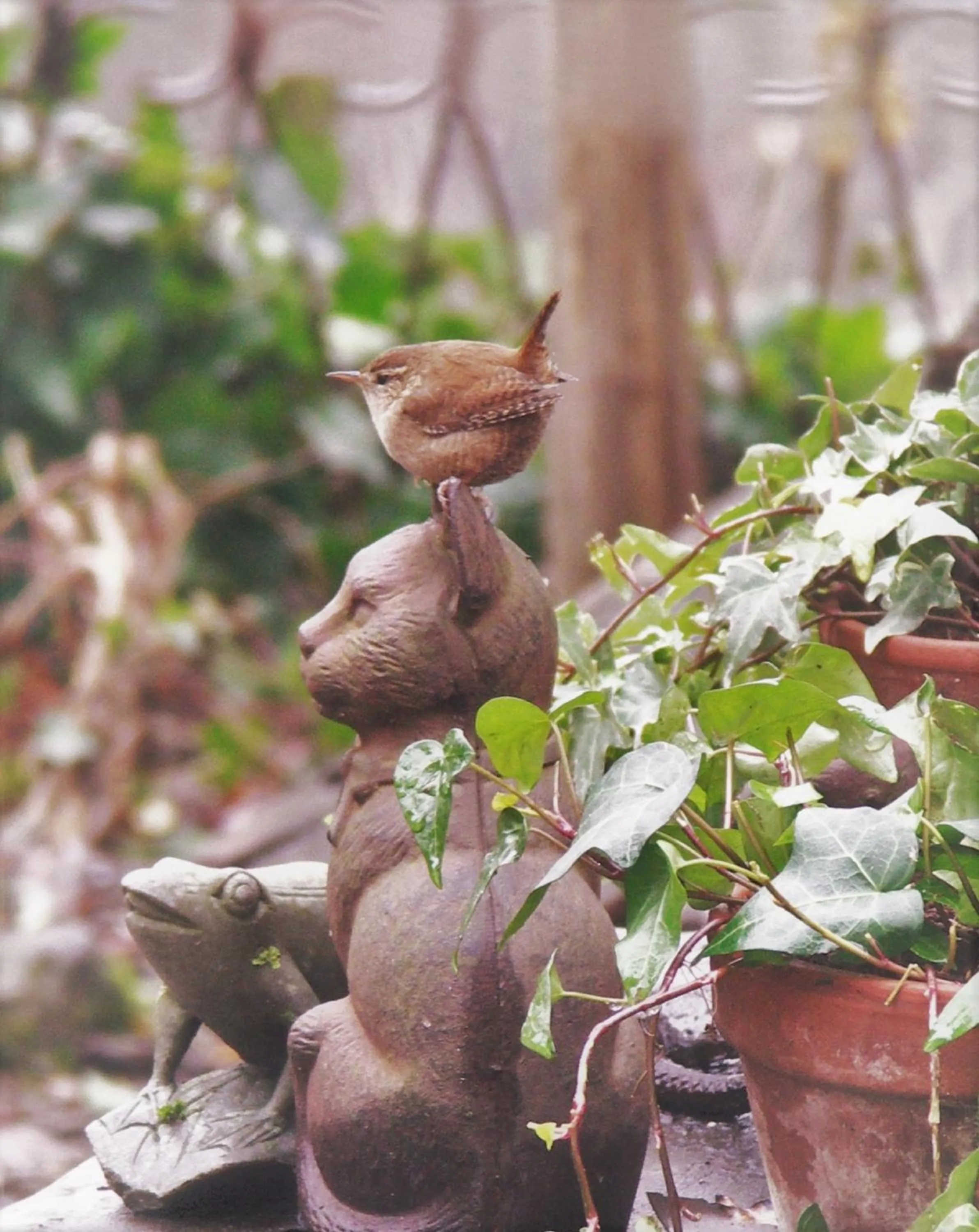 Day in La Traversina