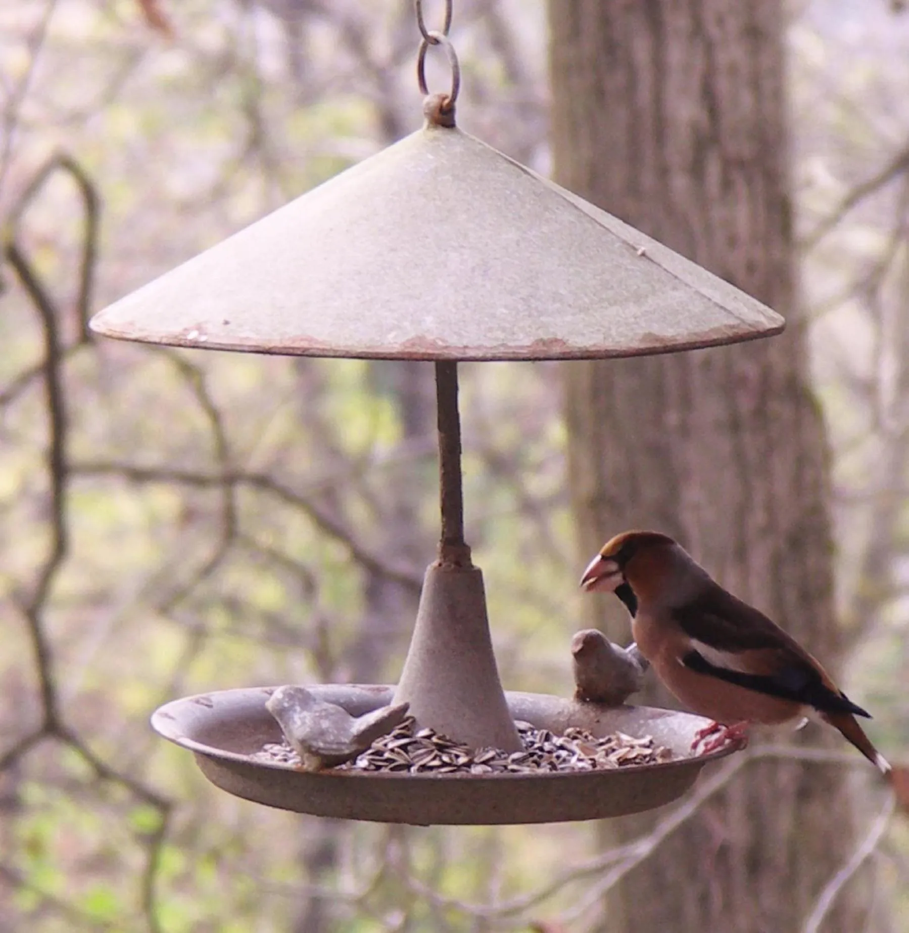 Day in La Traversina