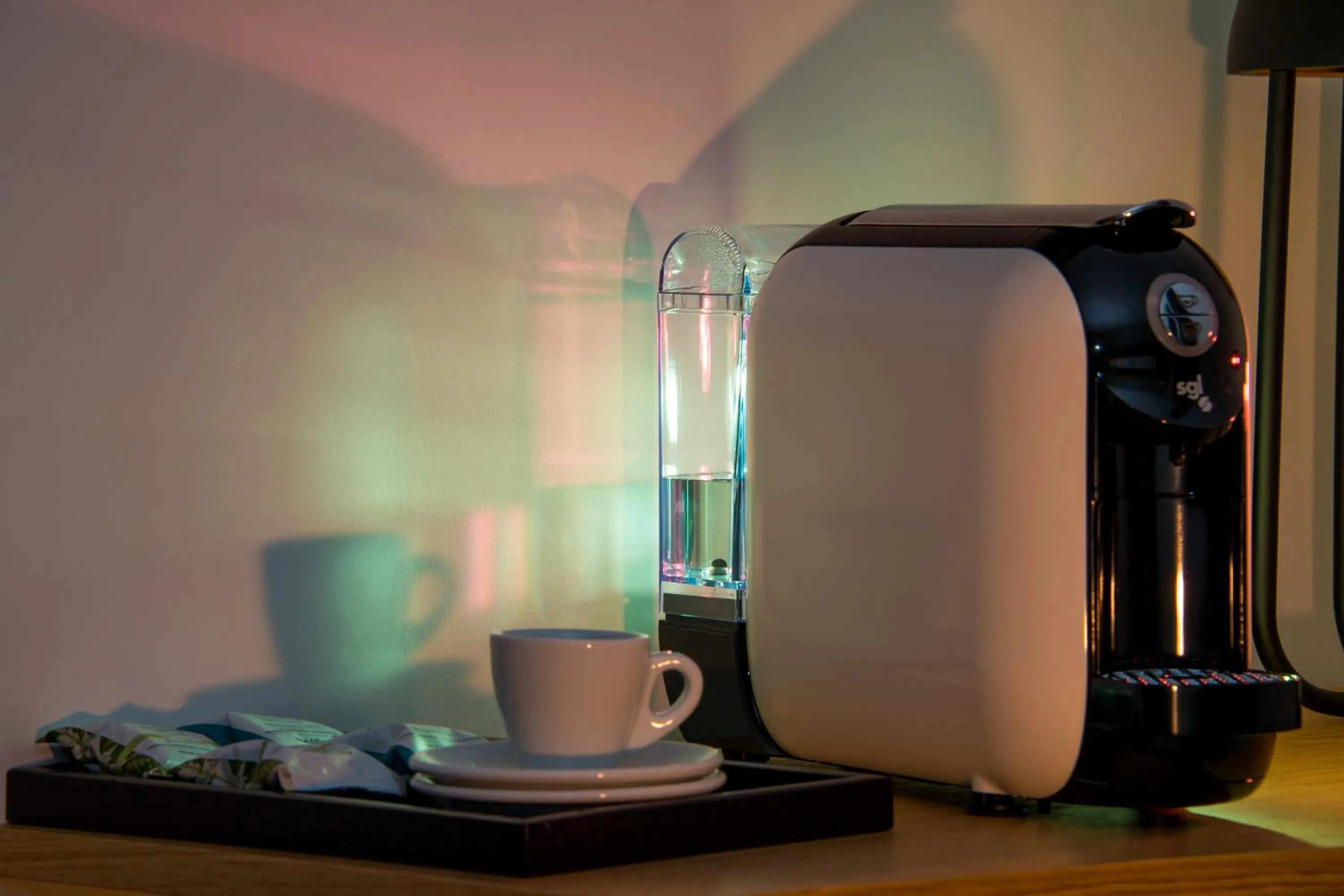 Decorative detail in HOTEL JAVIER MONTERO