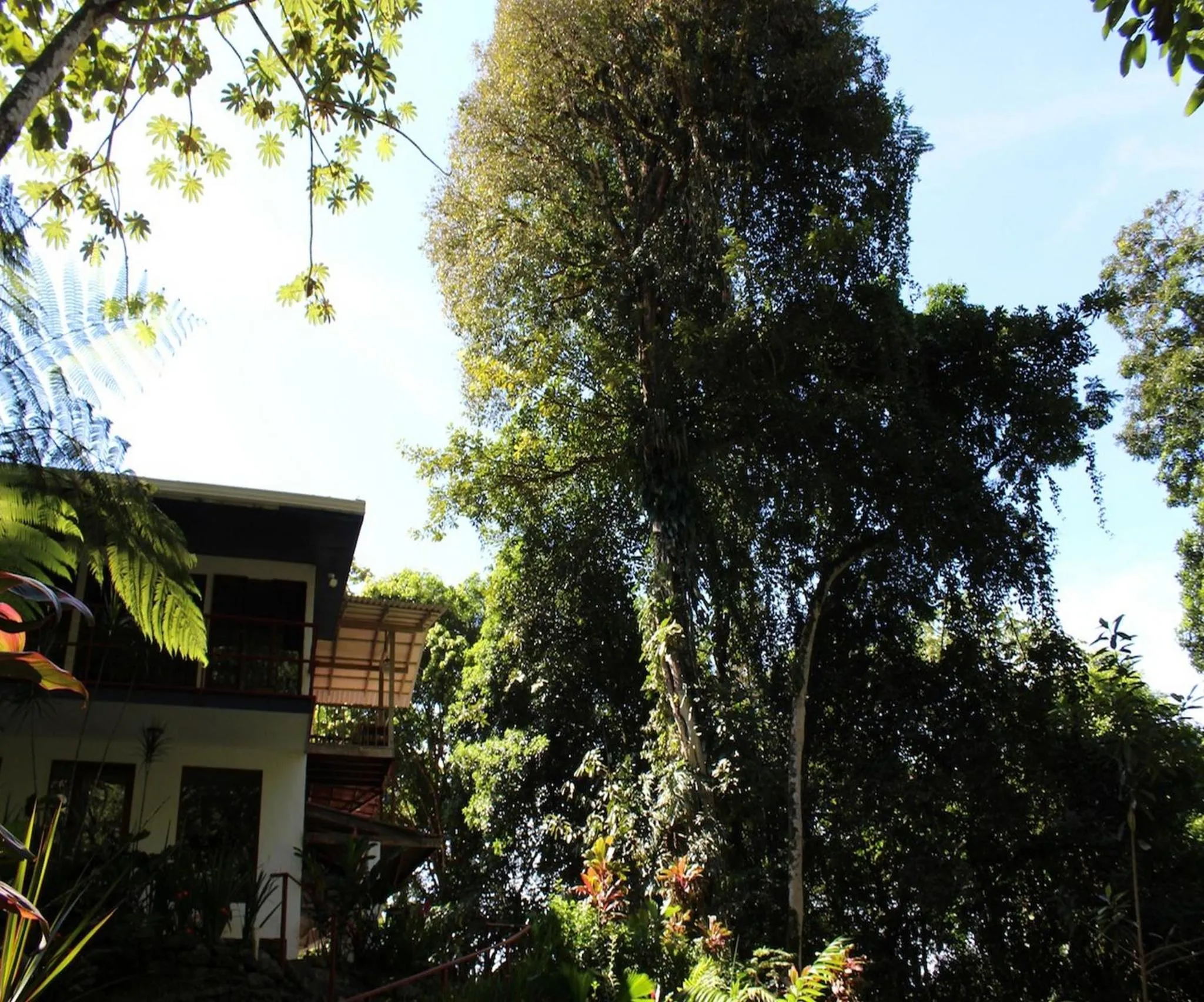 Garden in Agua Inn