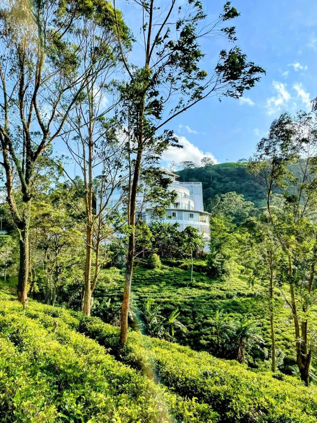 Property building in Bellwood Hills Resort & Spa