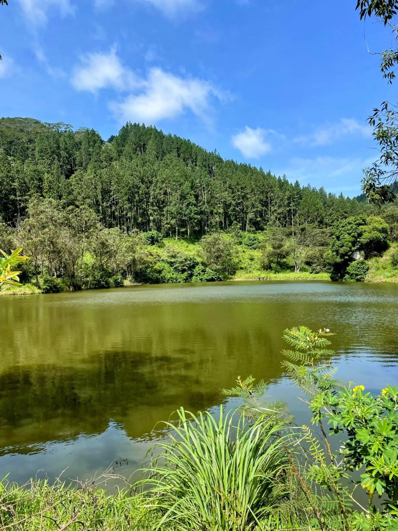 Other in Bellwood Hills Resort & Spa