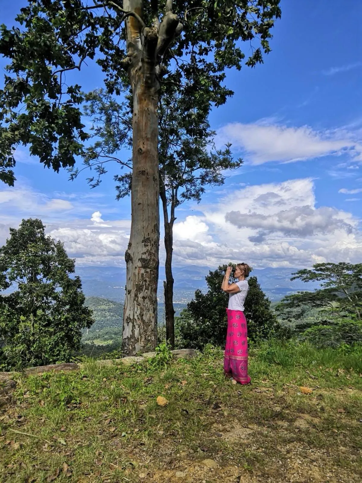 Neighbourhood in Bellwood Hills Resort & Spa