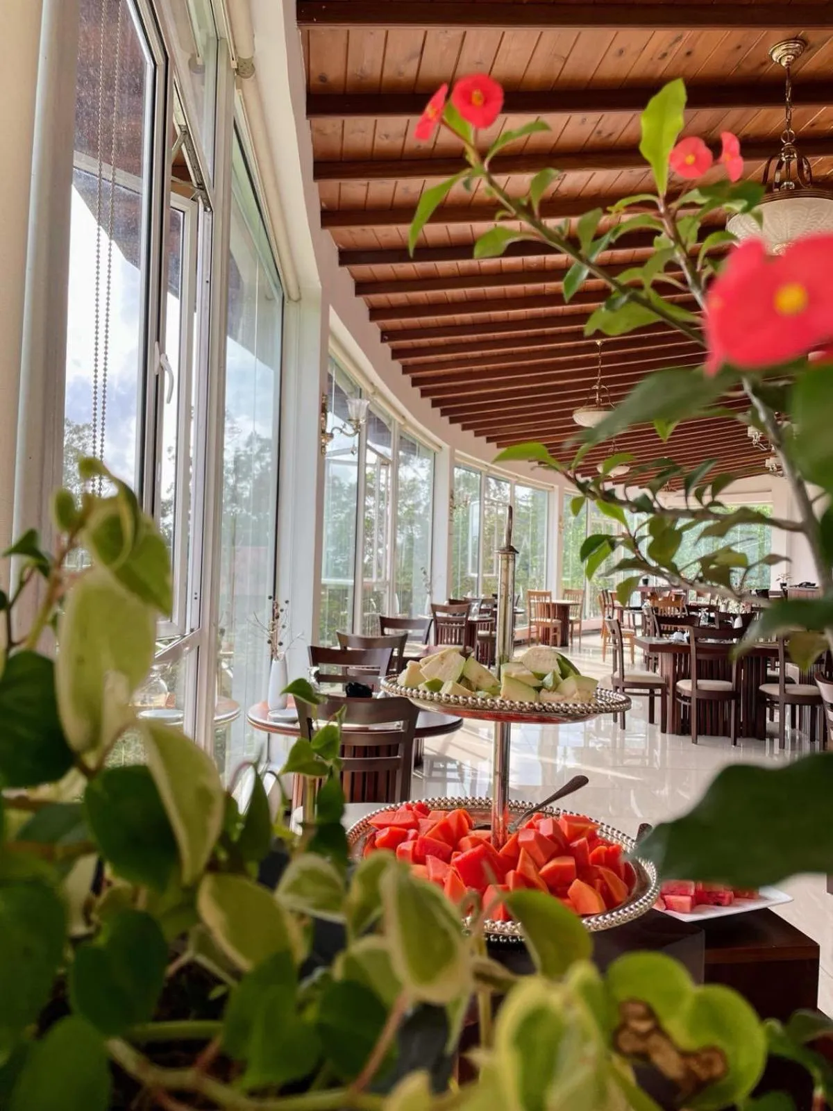 Restaurant/places to eat in Bellwood Hills Resort & Spa