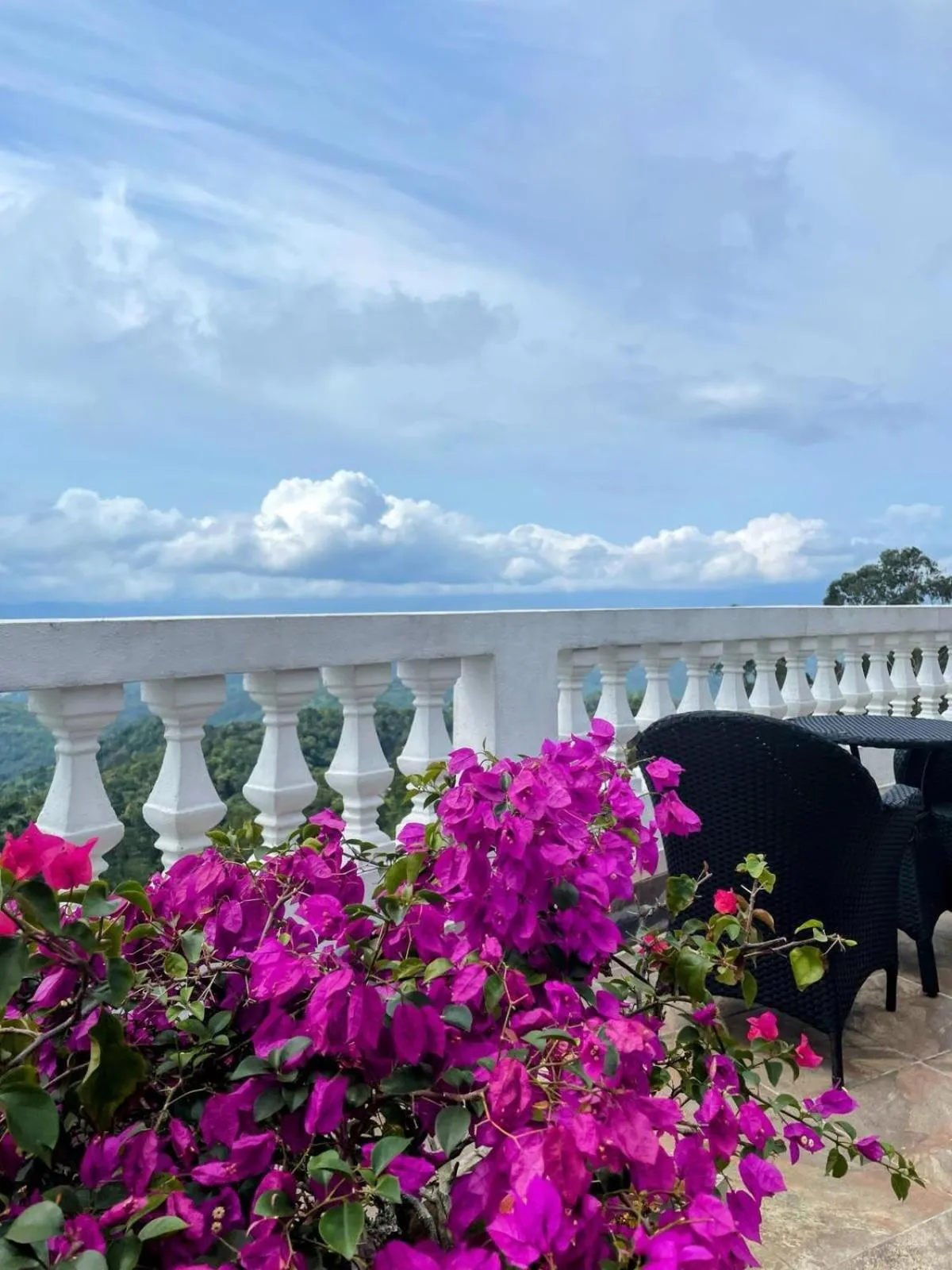 View (from property/room) in Bellwood Hills Resort & Spa